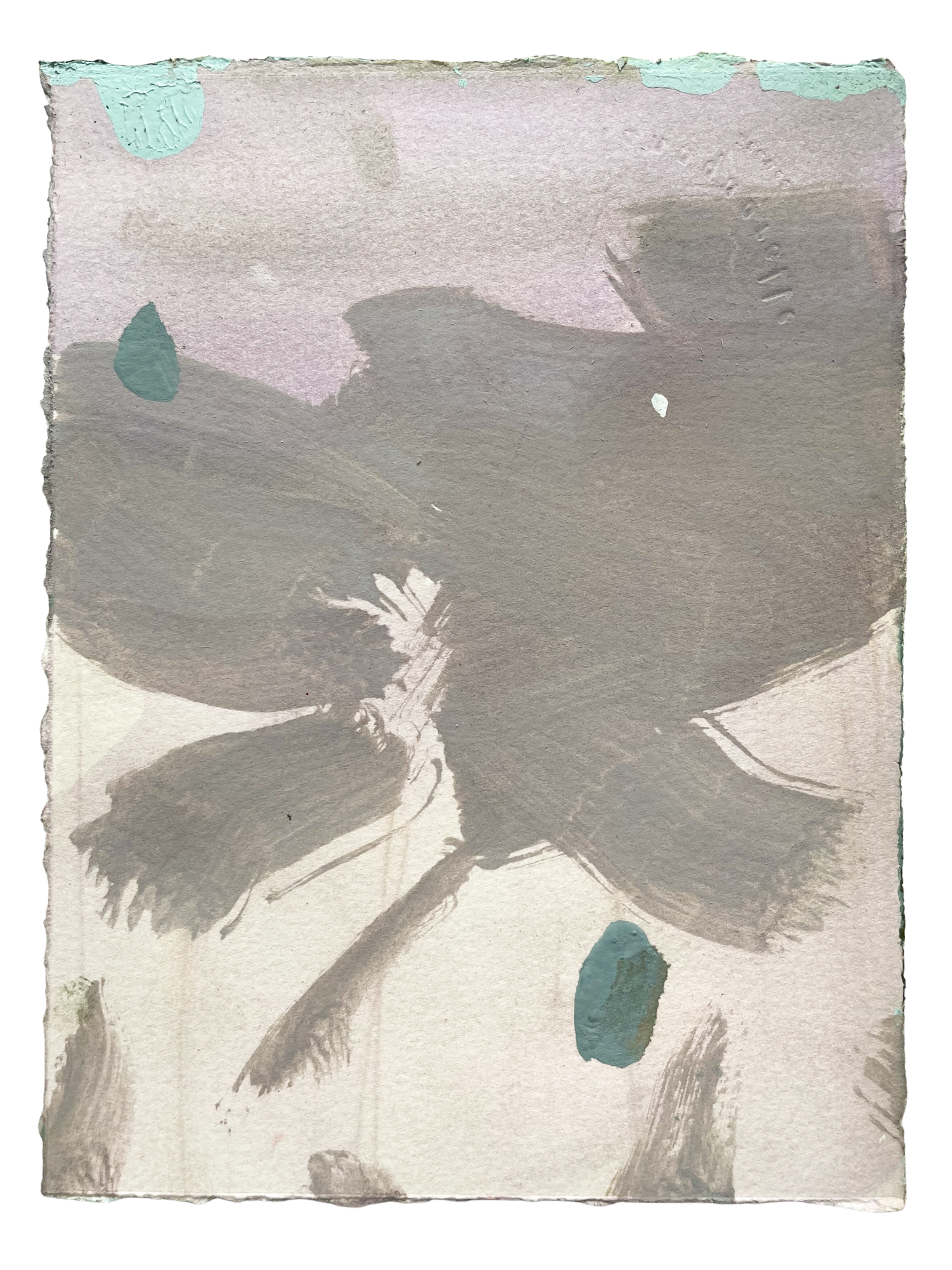 FS Soft Sails.png