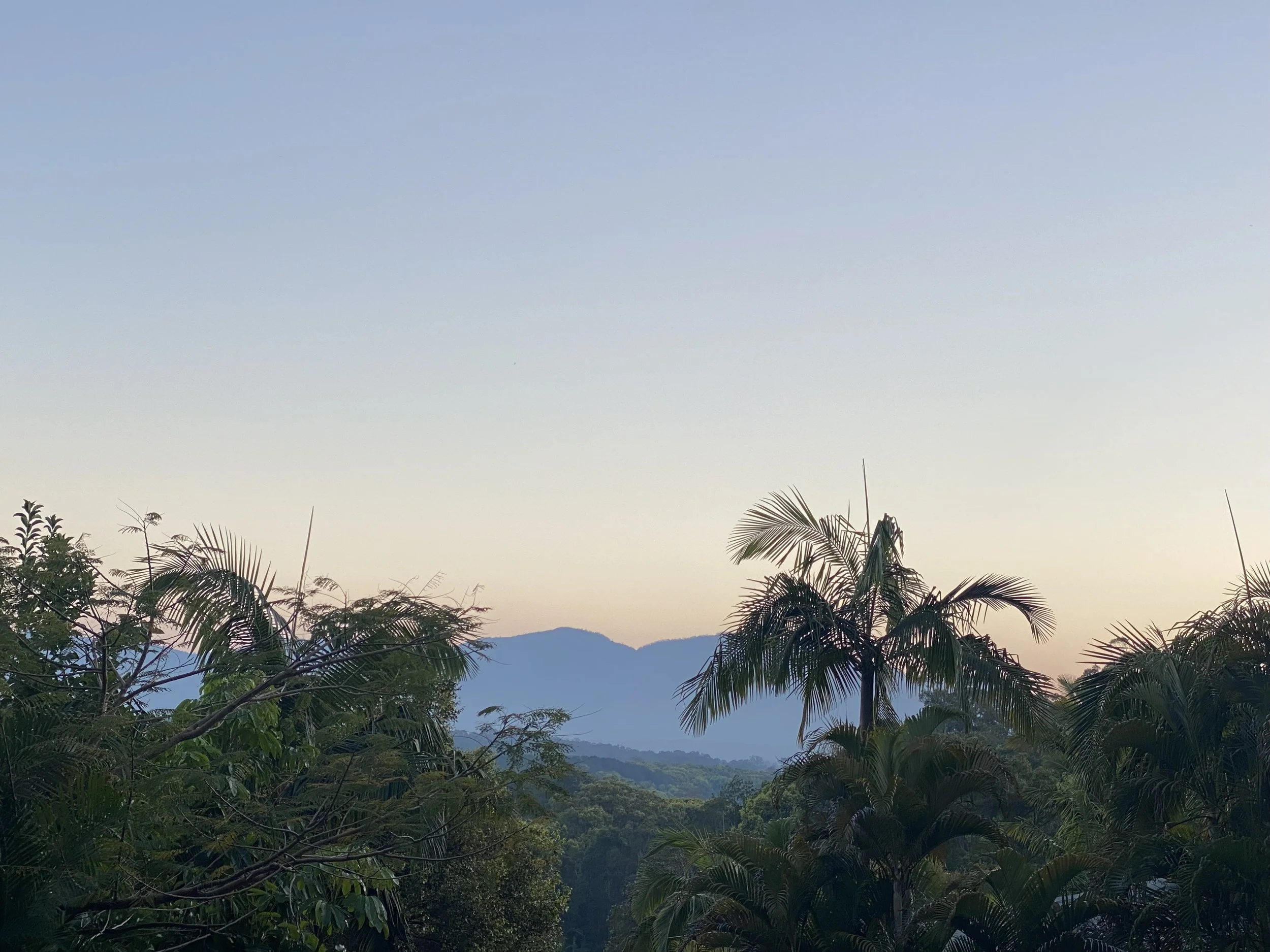 Ritual Chai Bellingen