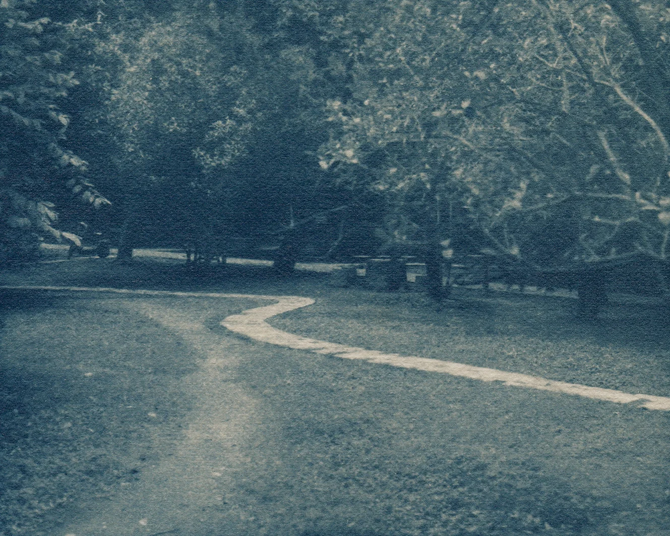 Gum bichromate over cyanotype