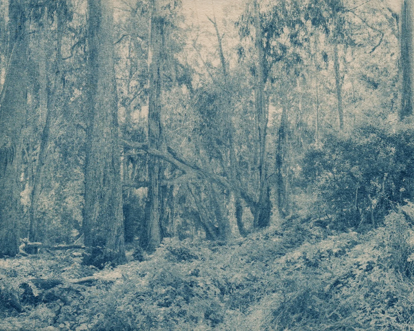 Solitary_10.jpg