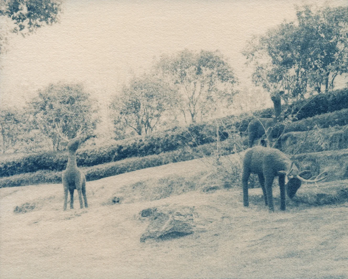 Solitary_07.jpg