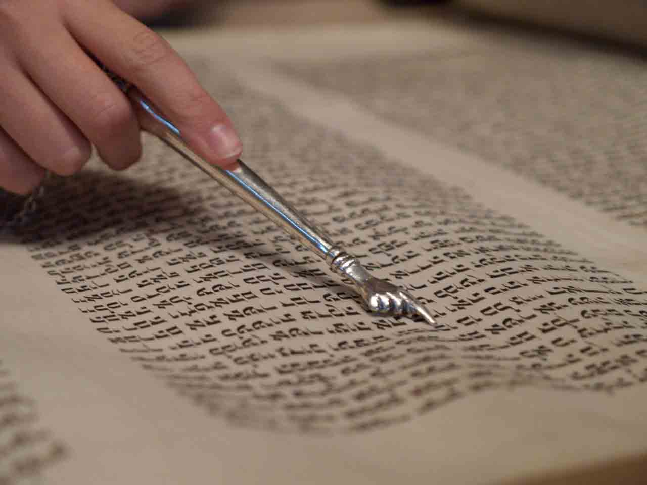 torah.jpeg