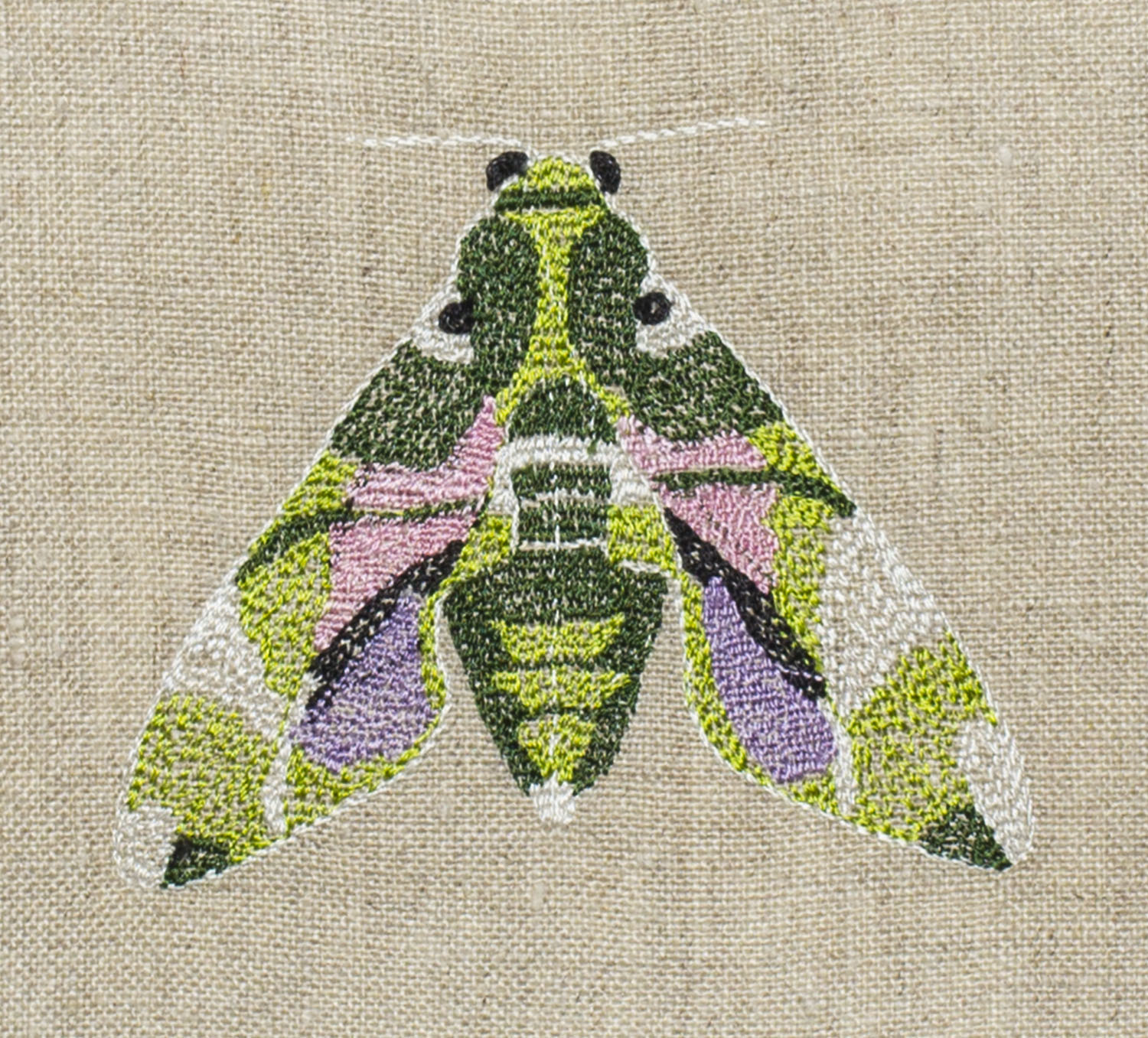 Hawkmothdetailnatural.jpg