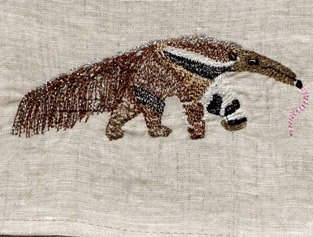 anteatercloseup.jpg