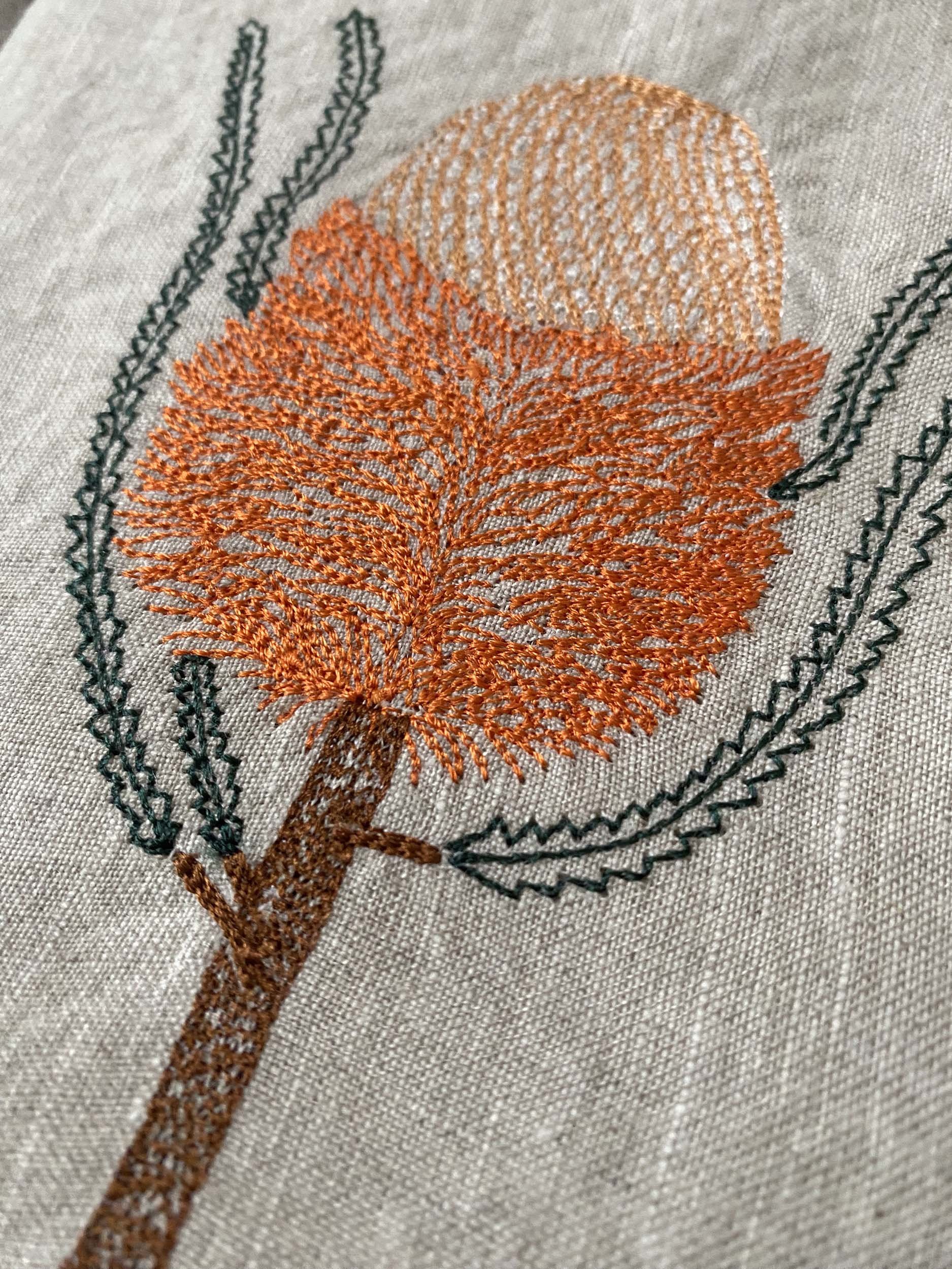 banksia2.jpg