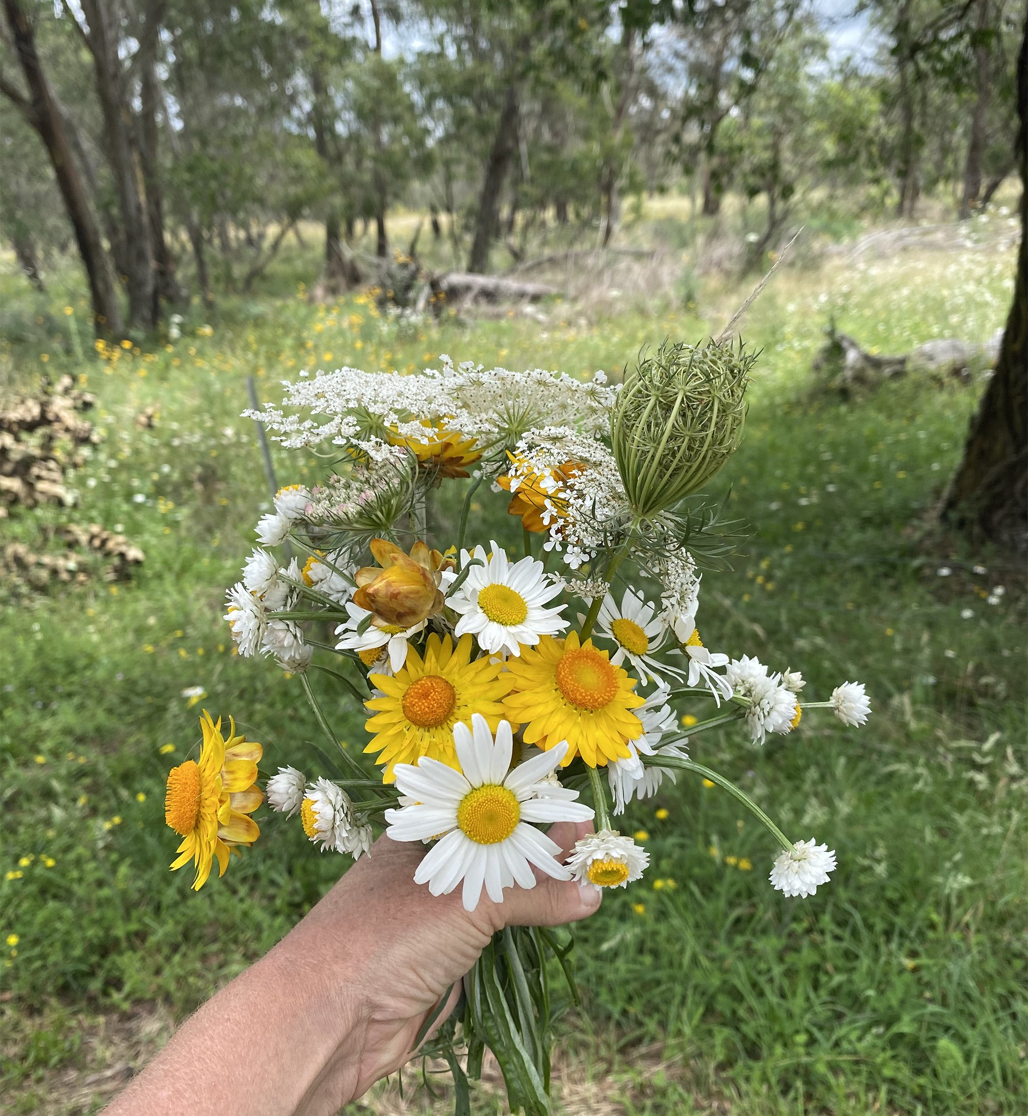 wildflowers.jpg