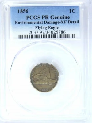 1856 Flying Eagle Env Dmg-O3 (1).jpg