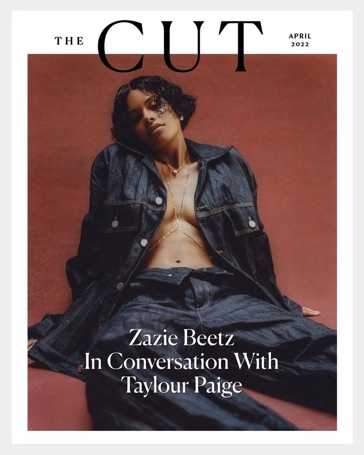 THE CUT COVER.JPG