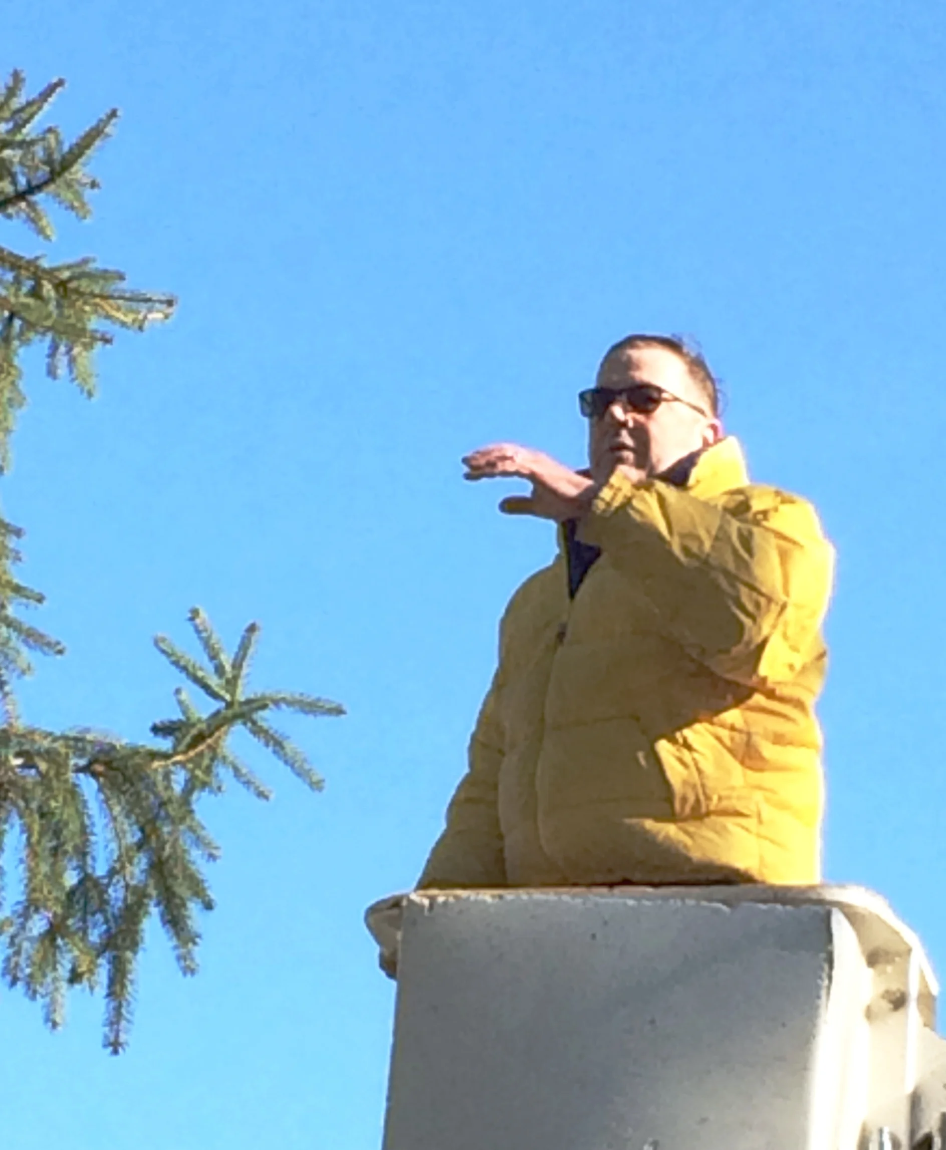New Concord Tree gets dressed for the Season