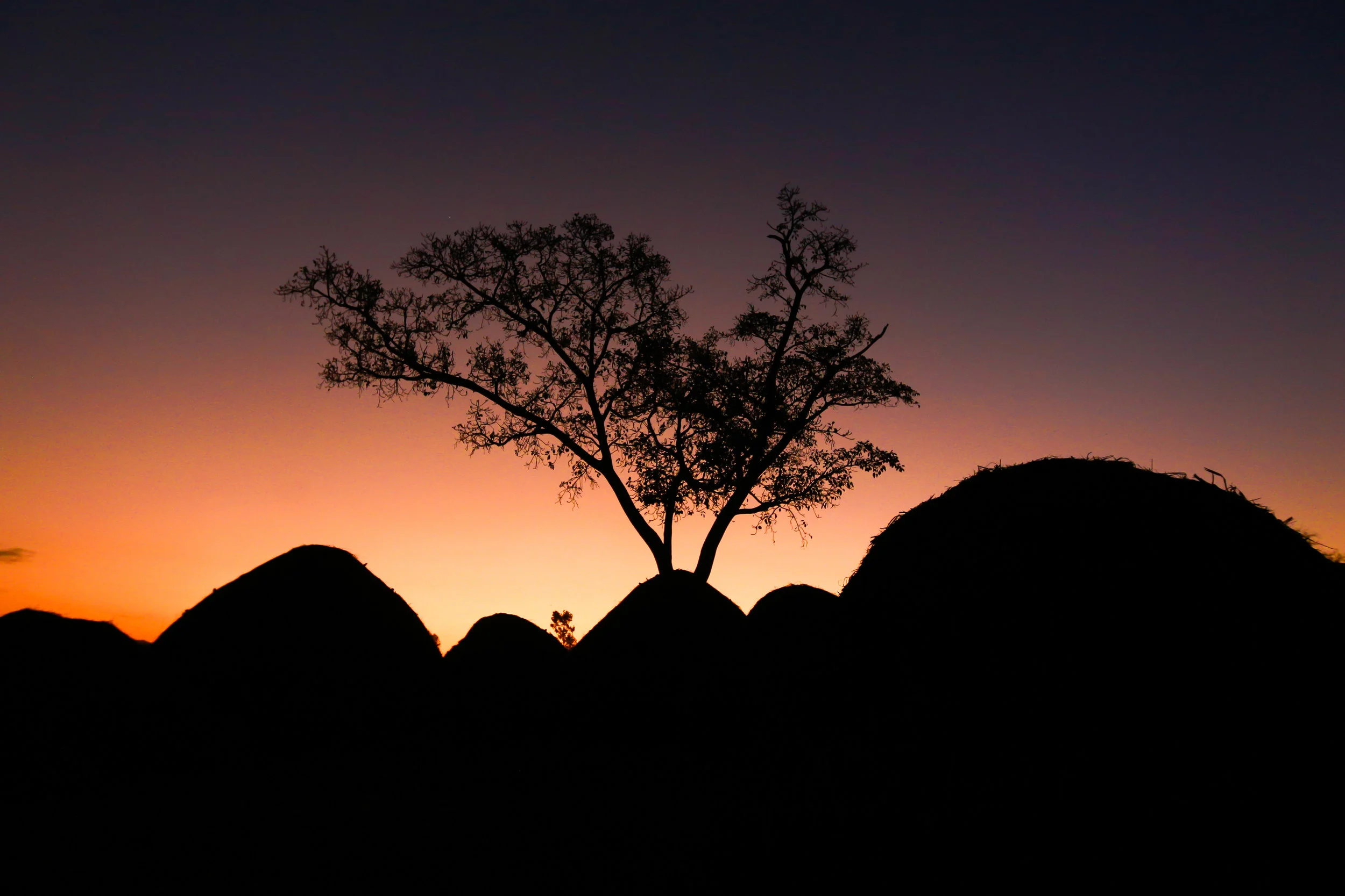 LANDSCAPE4.jpg
