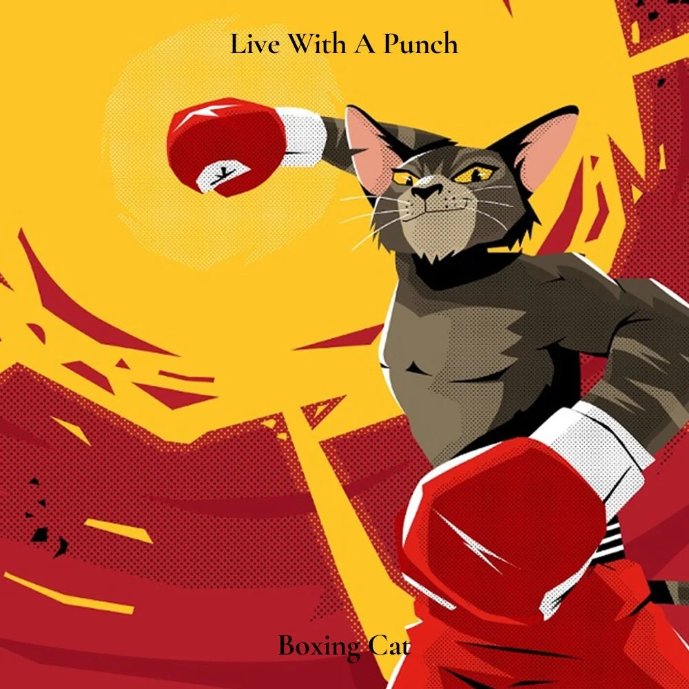 boxing-cat.jpg