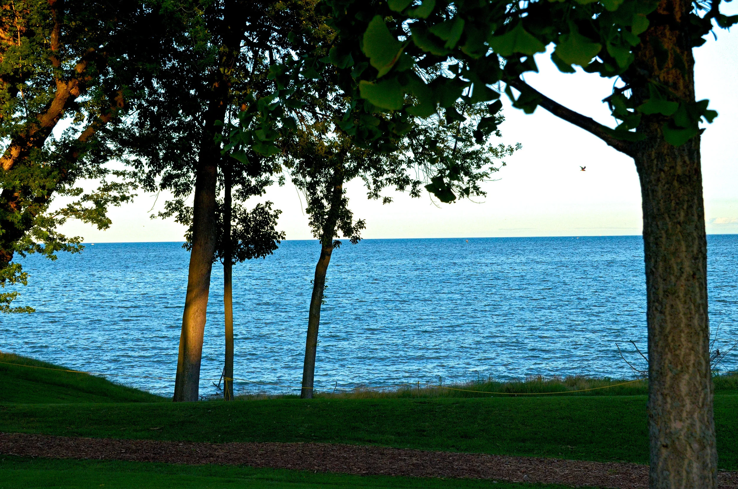 DSC_0910.JPG