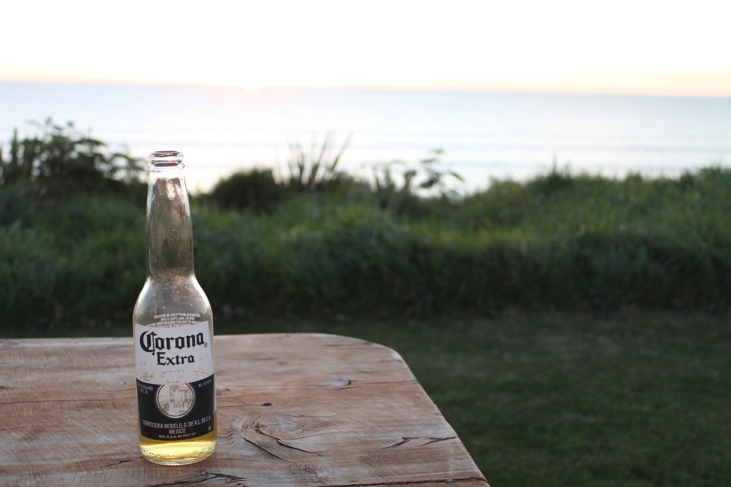 Corona Beer