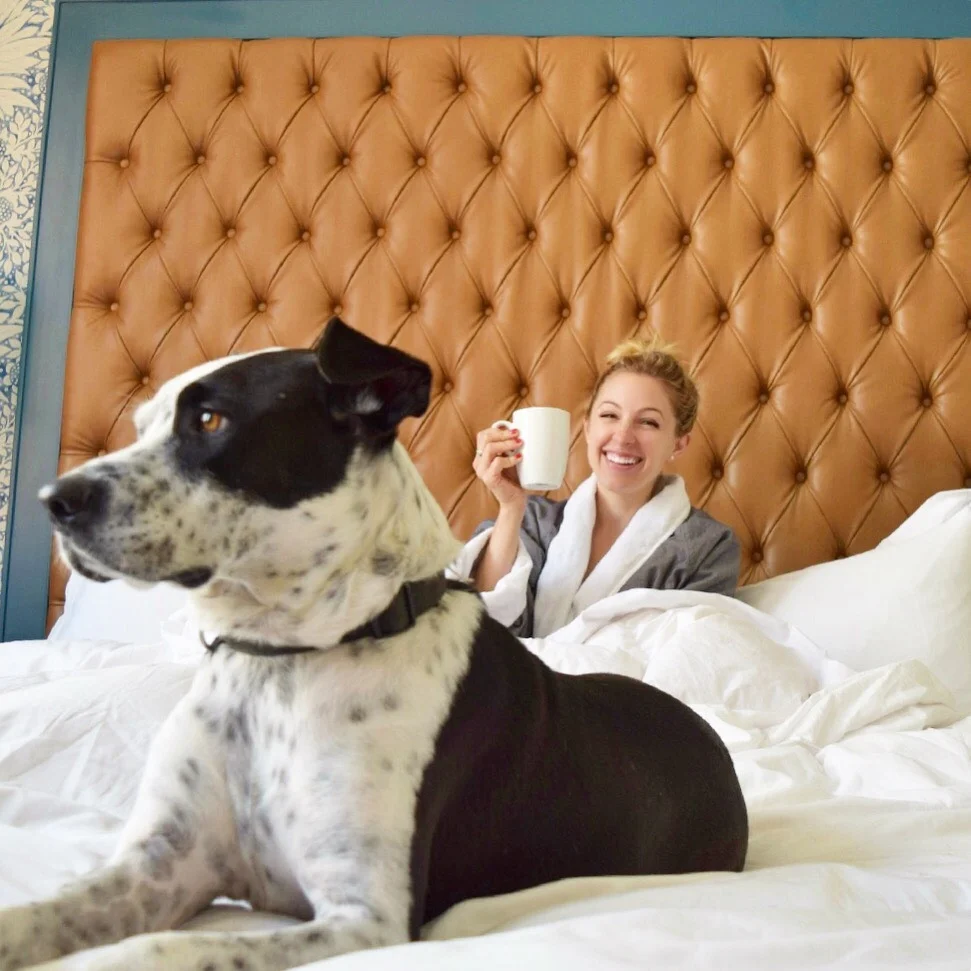 Staycation All I Ever Wanted