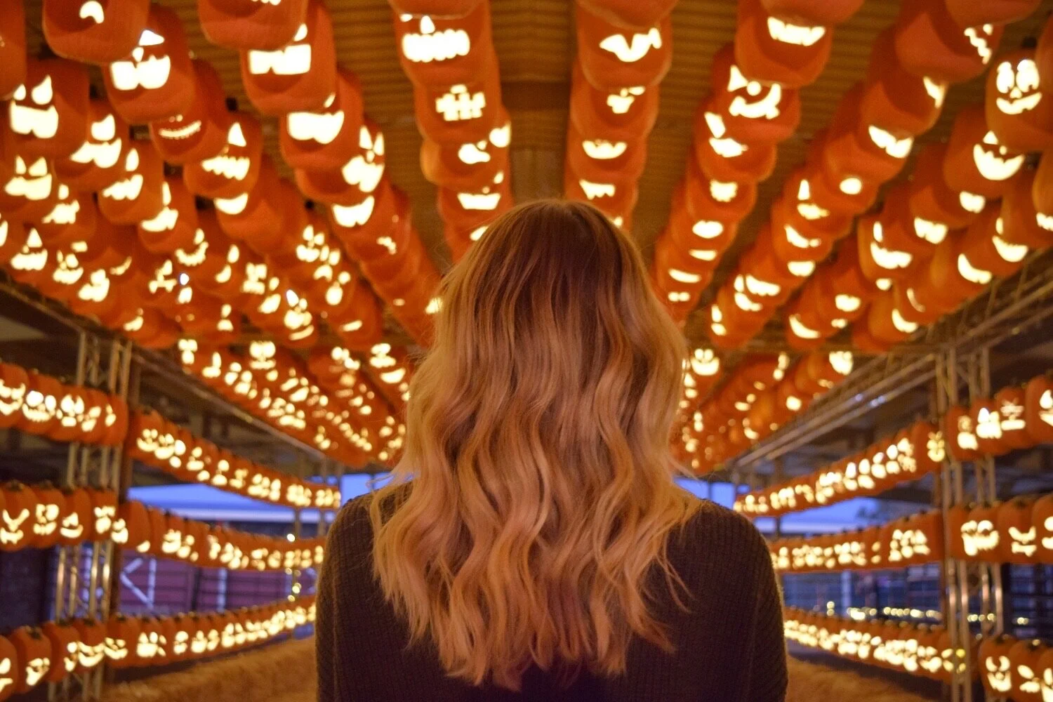 Pumpkin Nights