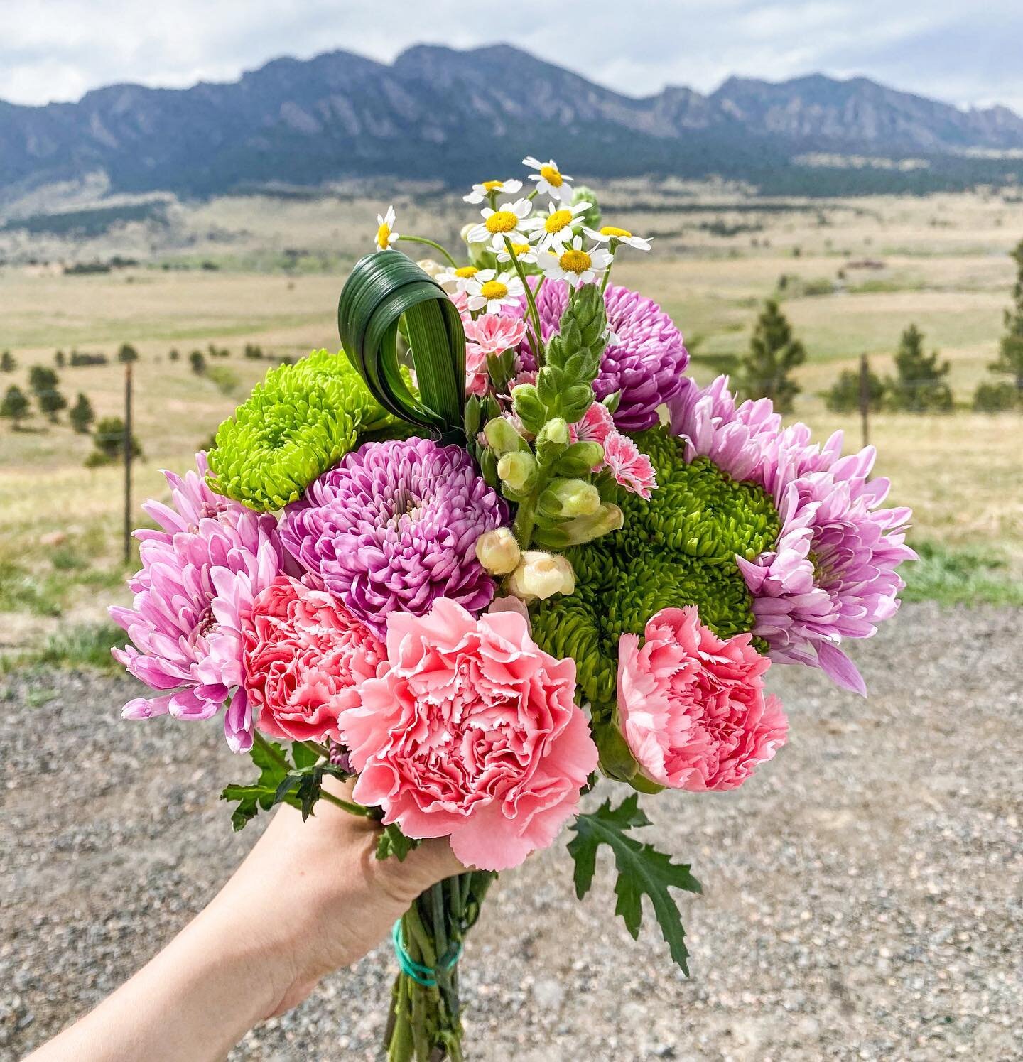 Happy Mother&rsquo;s Day! 💐 Sending love to all mommas, those longing to be moms, those who&rsquo;ve lost a mother, and anyone else who needs a little extra love today. We hope you were able to get outside and enjoy this beautiful weather! ⛅️