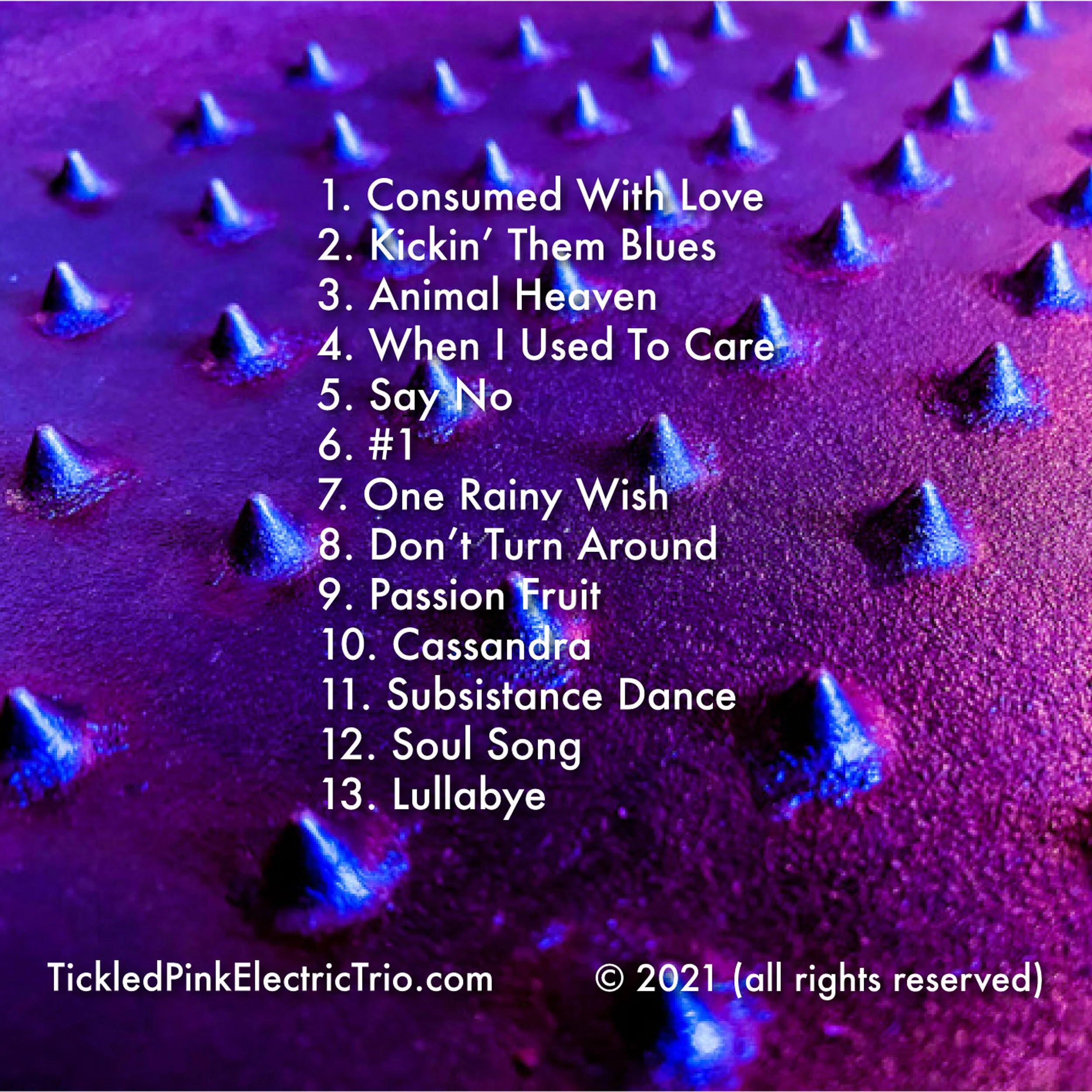 Trips To Win back cover resize.jpg
