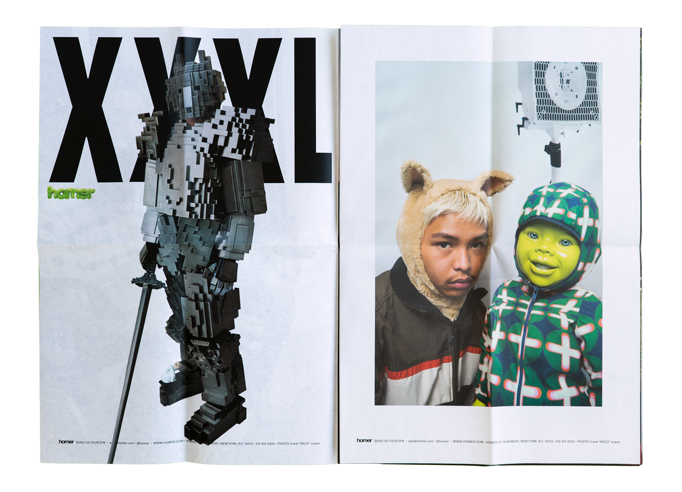 Homer Poster Collection - XXXL, When a Dog Comes to Stay_04.png