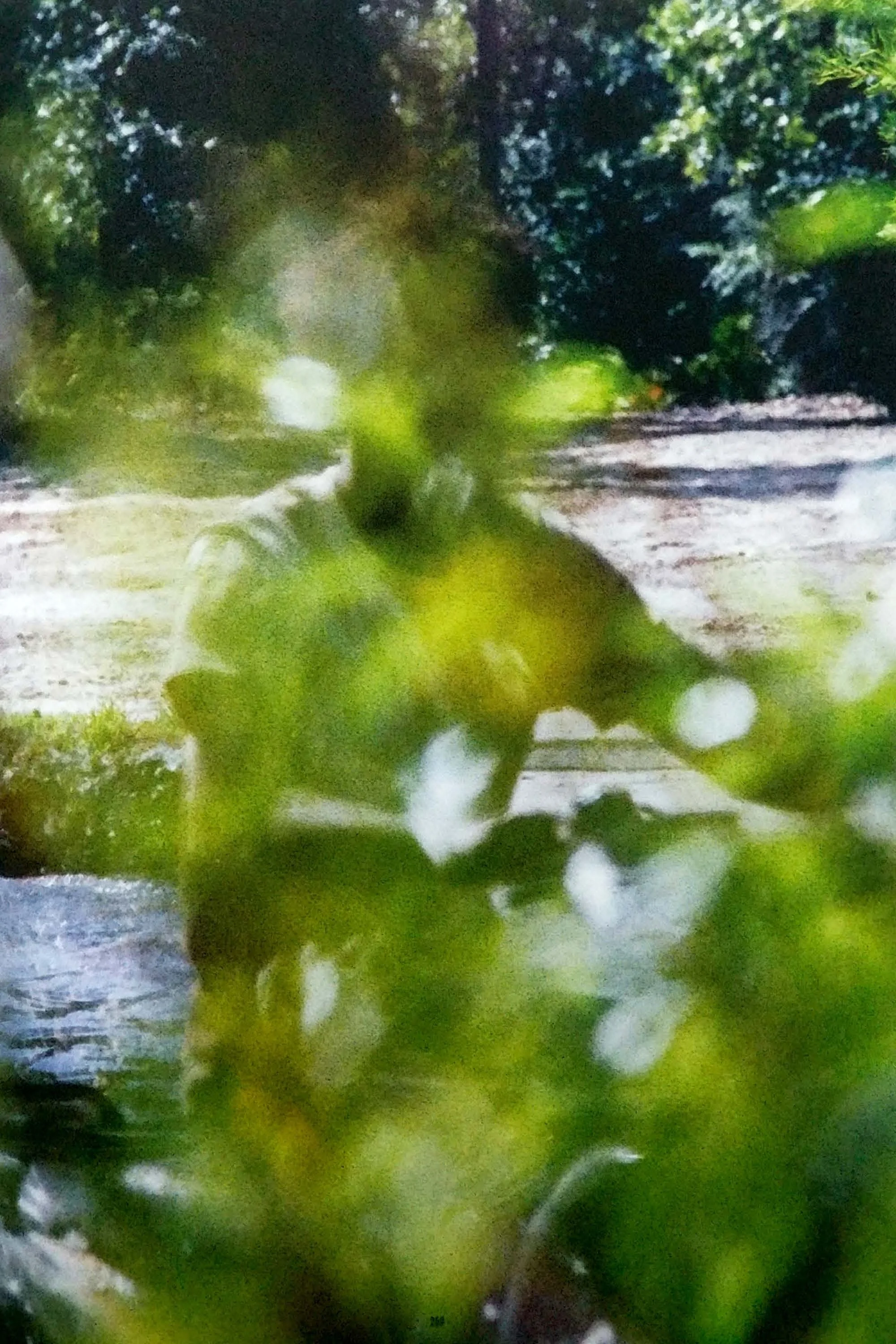 p. 253 (scan)