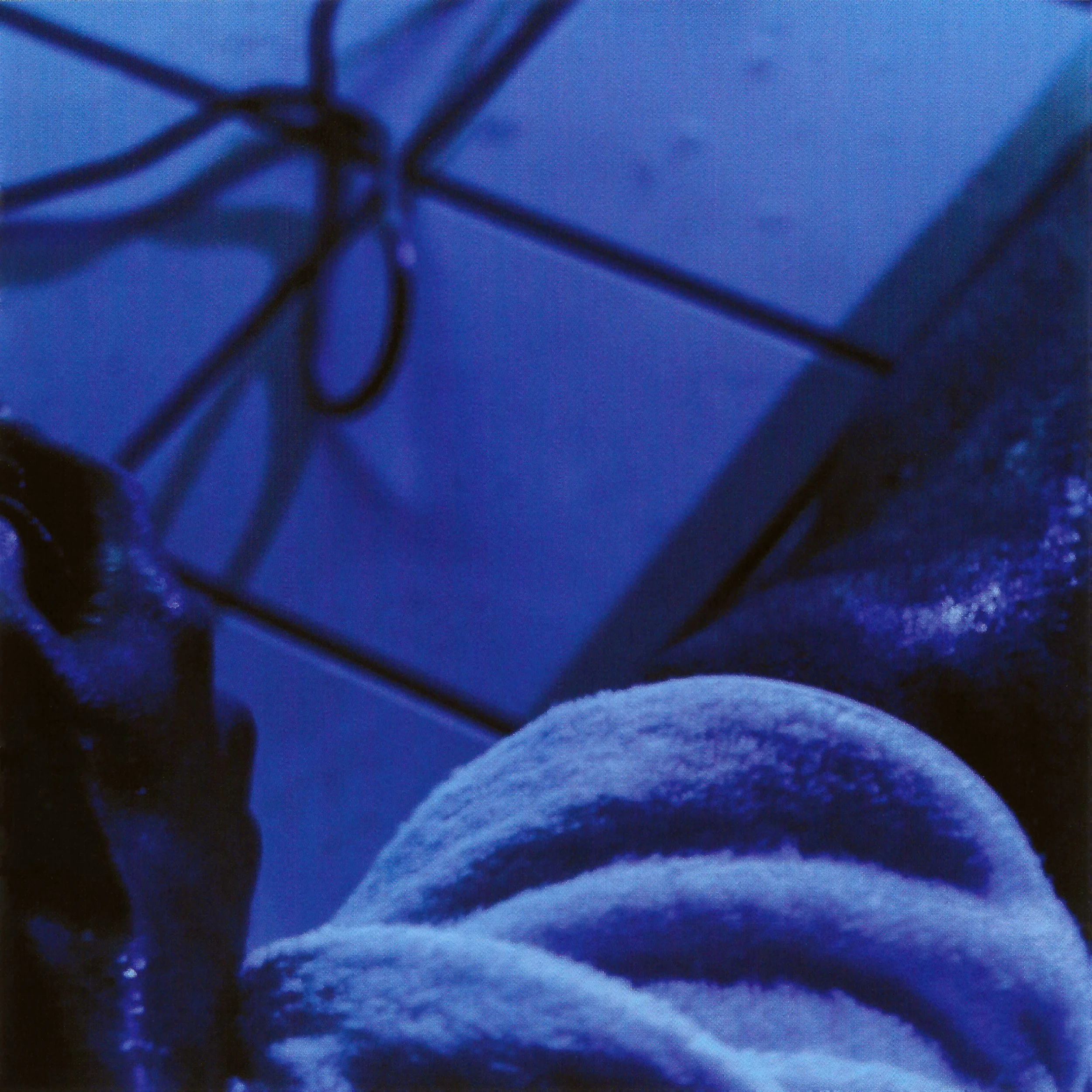 cO [2 - CD Version — 4 - Booklet — 1 - Mfd. in NA — 11 - PSone — 2].jpg