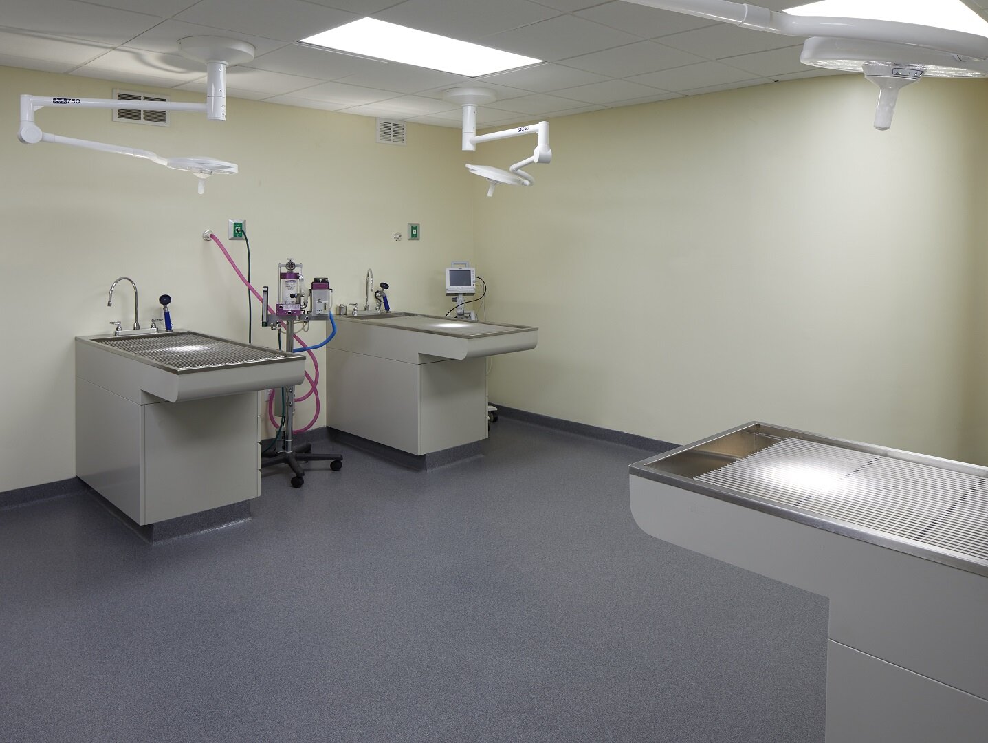 Nonantum Veterinary Clinic Operating Room 1 MOBAC INC. .jpg