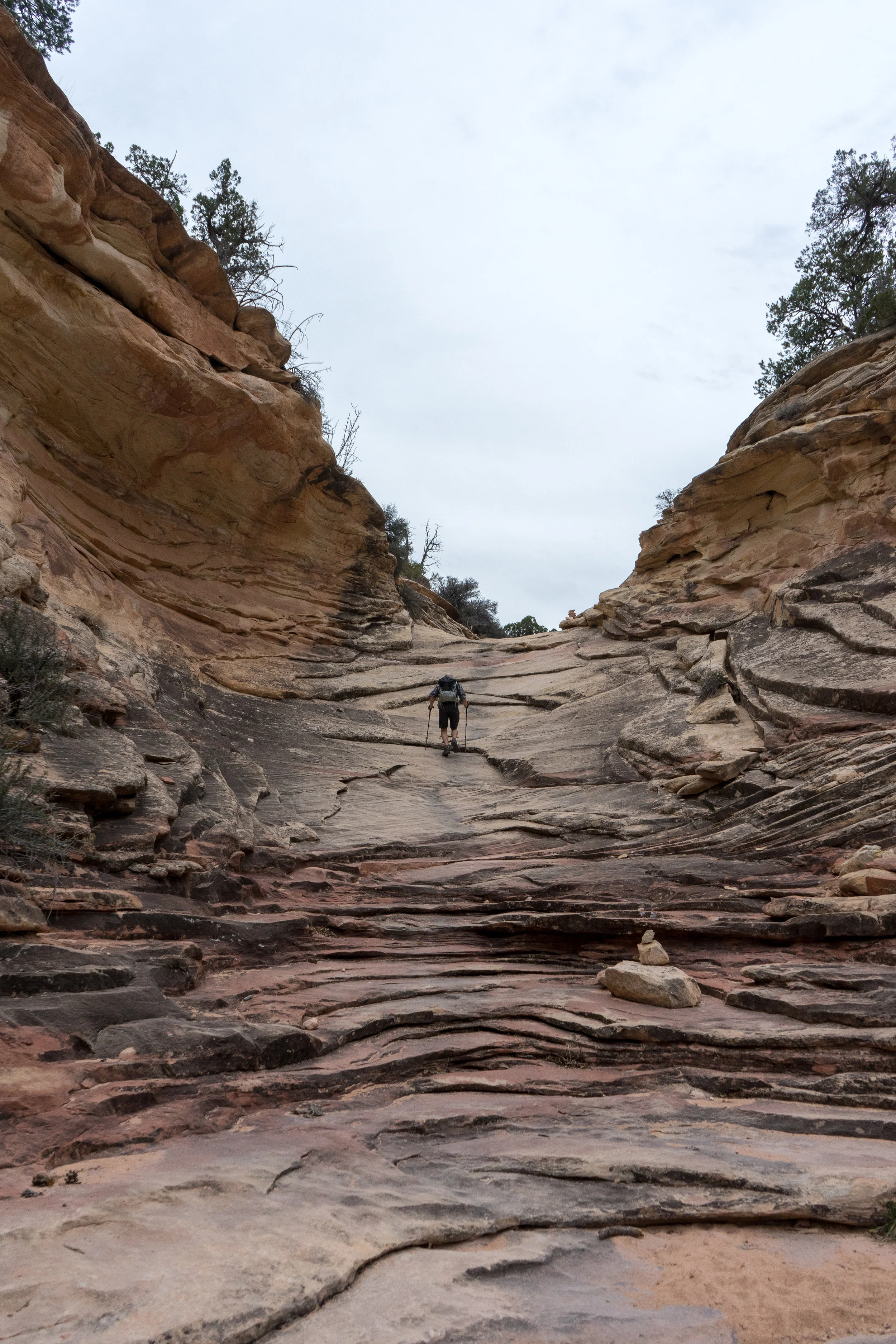 The trail to Druid Arch