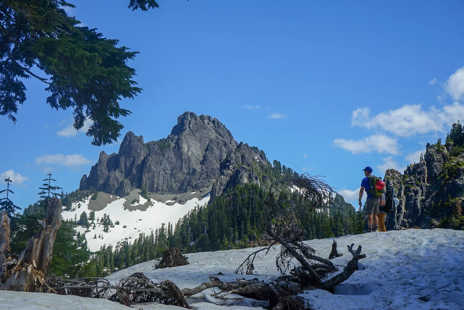 First views of Mt. Forgotten