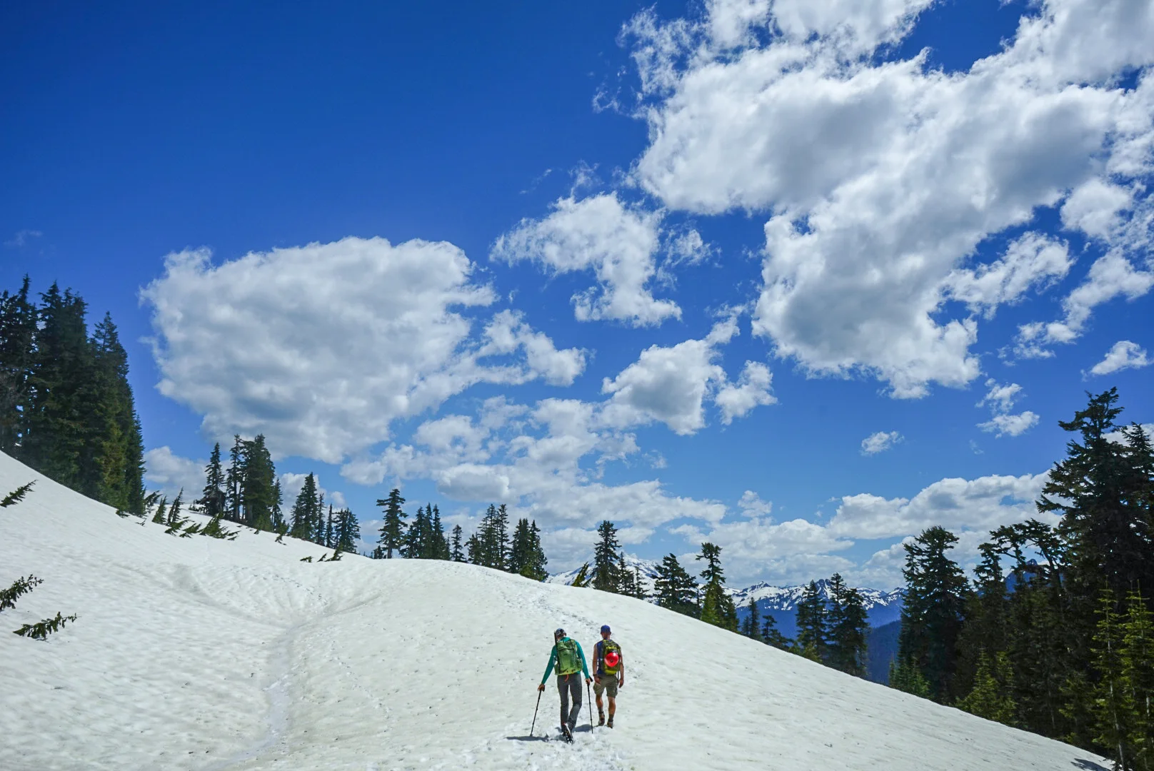 Flat snowy meadow section