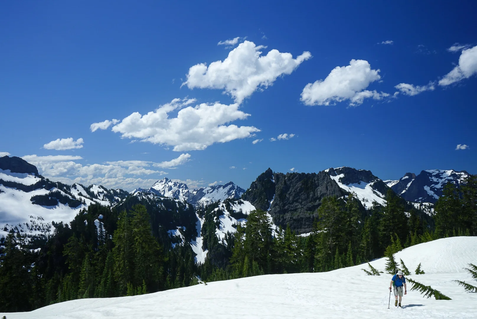LRG_DSC00503.jpg