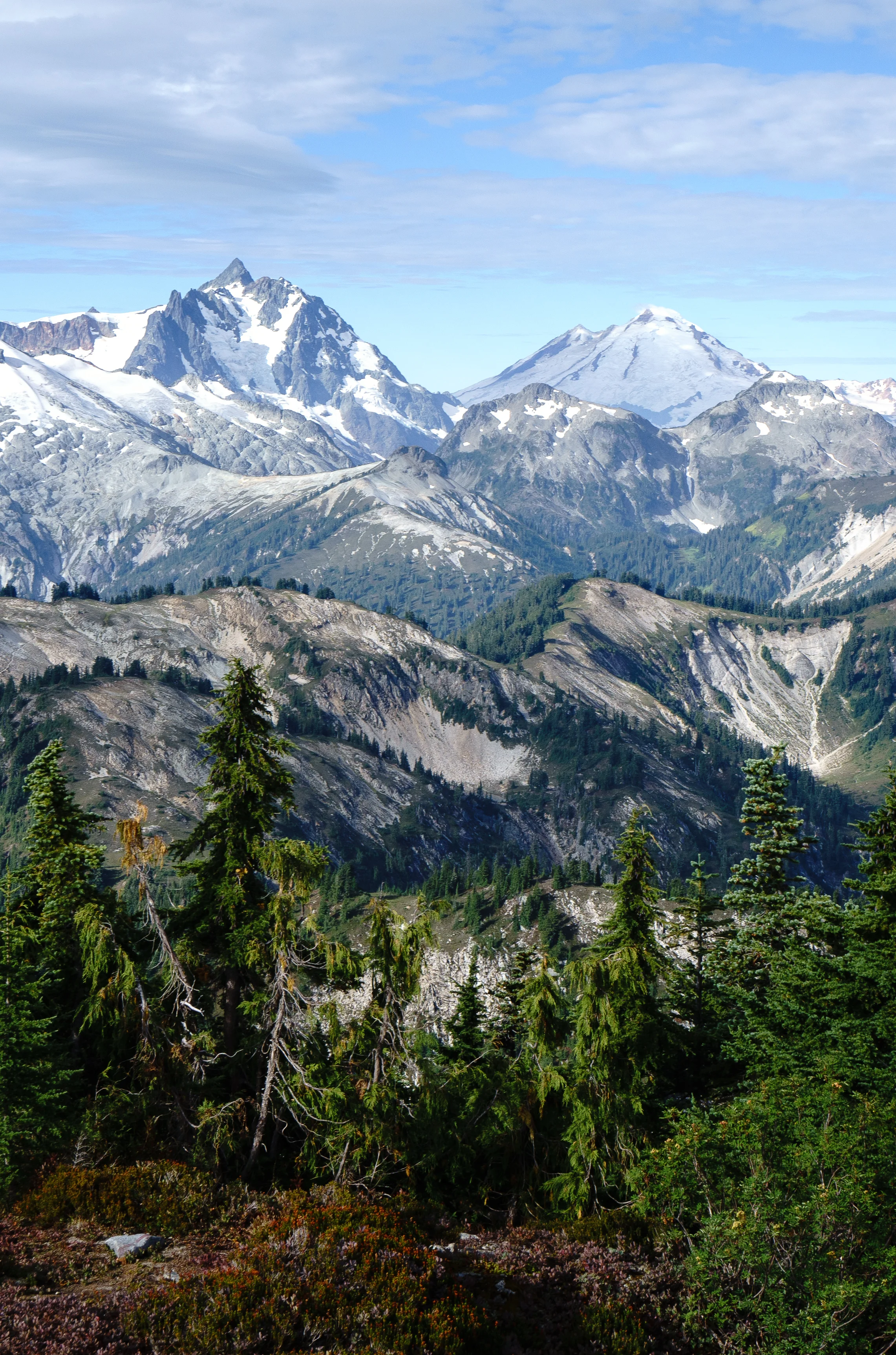 DSC07286-2.jpg