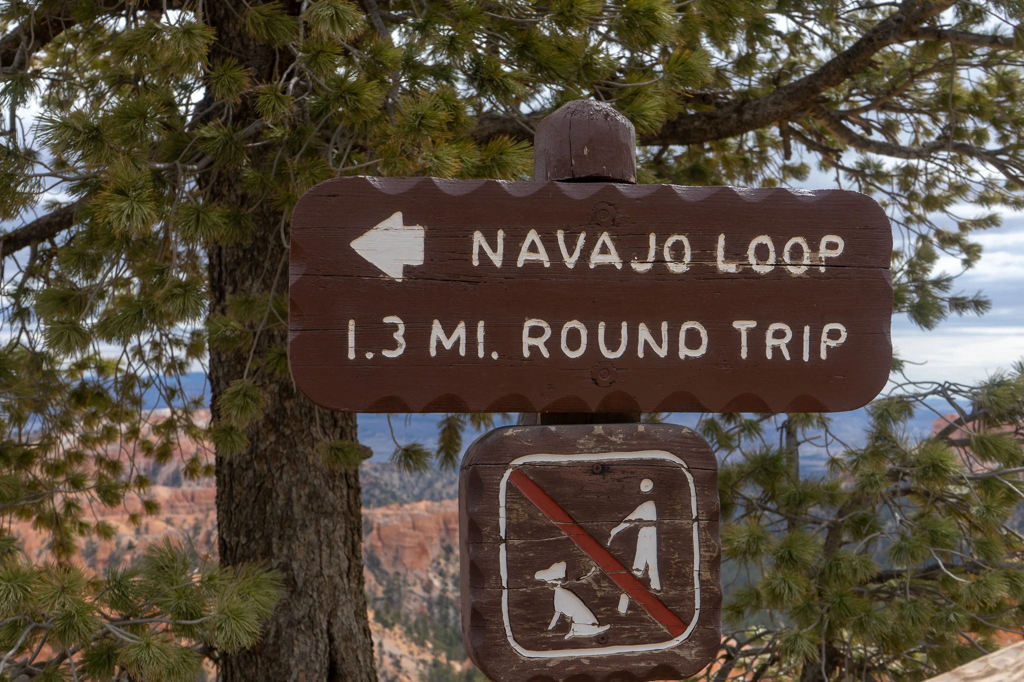 See the no dog sign? Not a recommendation. It’s a law.