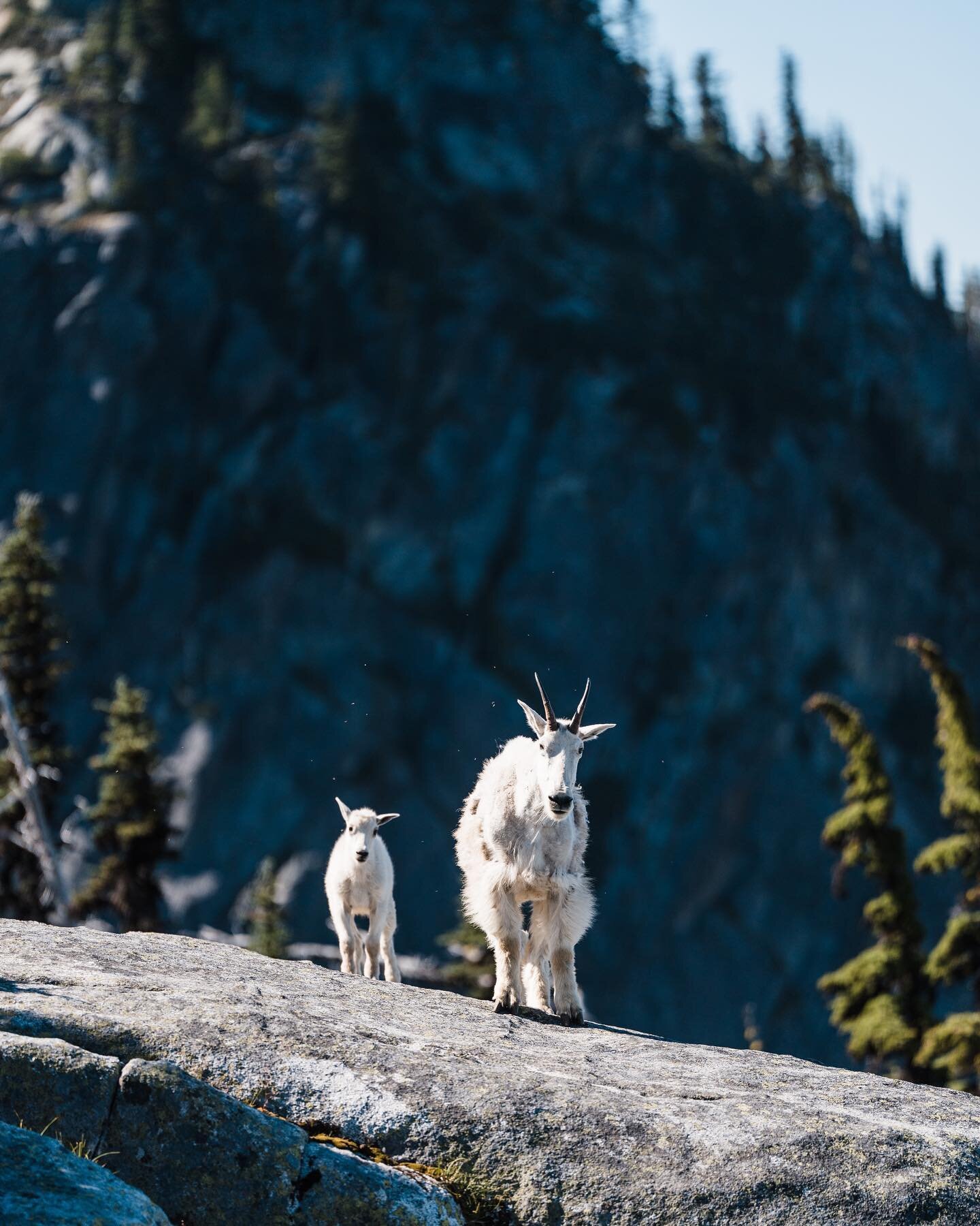 The most curious new friends I ever did make.