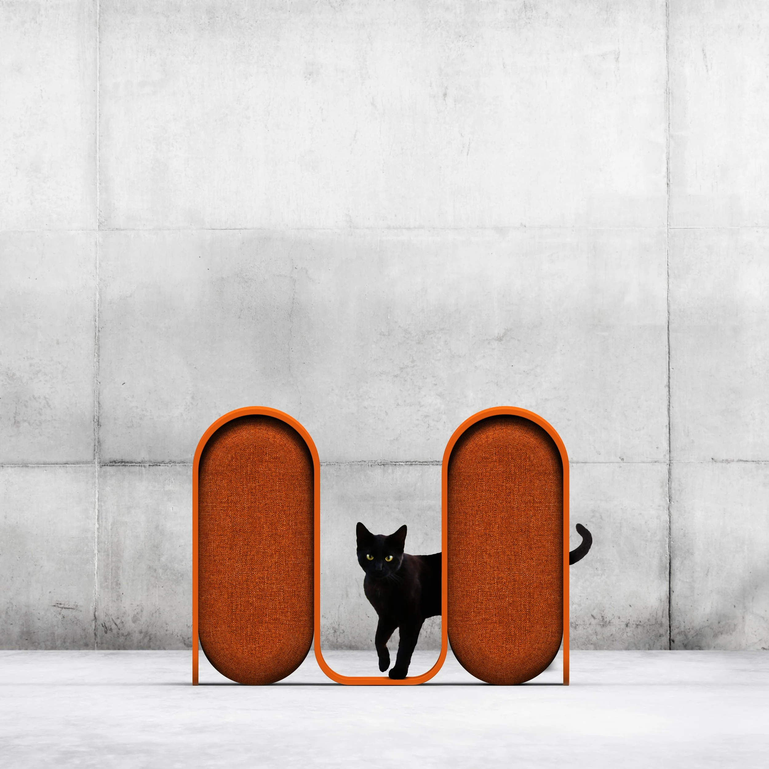 Cat orange concept 5 main editable photoshop fileArtboard 1.jpg