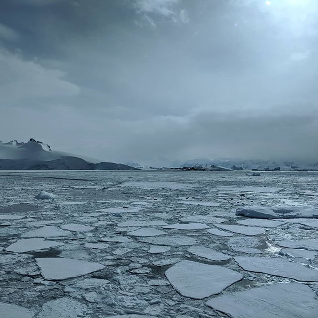 Seal spotting (look for black blobs on the sea ice) and sea ice sampling down the gangplank from the #nathanielbpalmer in Marguerite Bay near #rotheraresearchstation! #oceanography #seaice #Antarctica