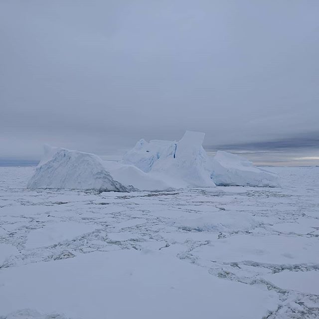 Ice bergs all around the ship as we approach Adelaide Island, Antarctica to sample the sea ice that covers the ocean around the icebergs. Icebergs are chunks of glaciers that break off into the sea at glacial termini, a process called glacial calving