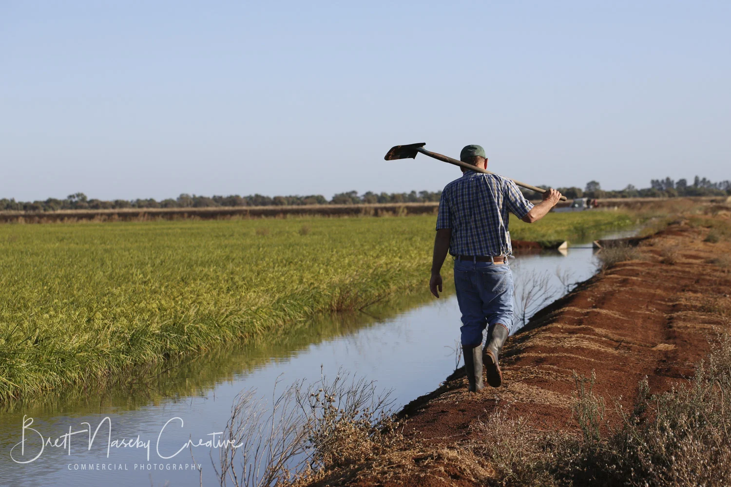 Our commercial photography projects for Rice Extension