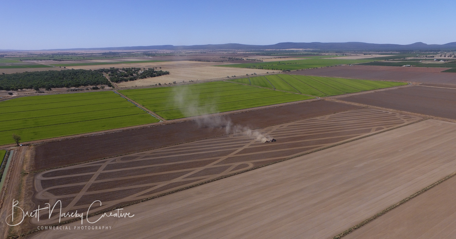 Rice Extension