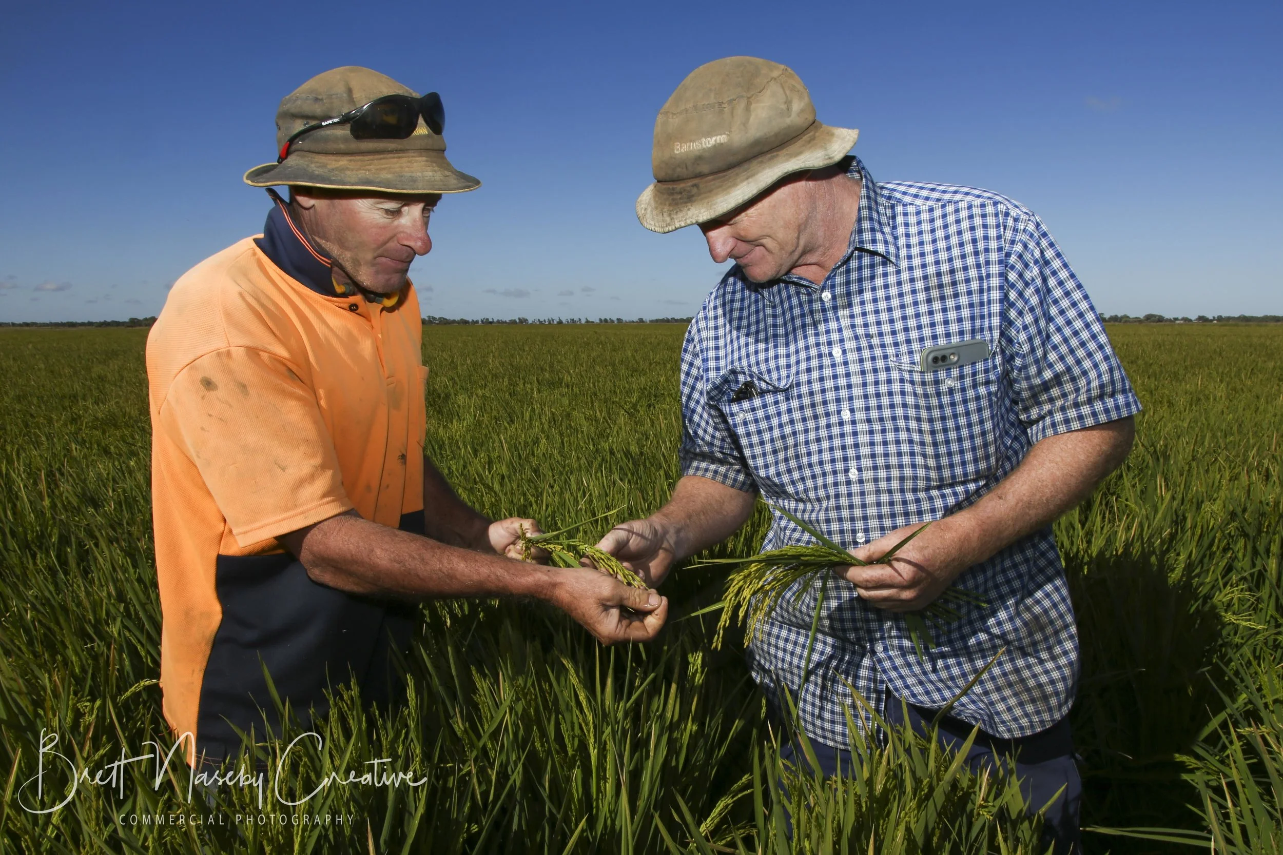 Our commercial photography projects for Rice Extension