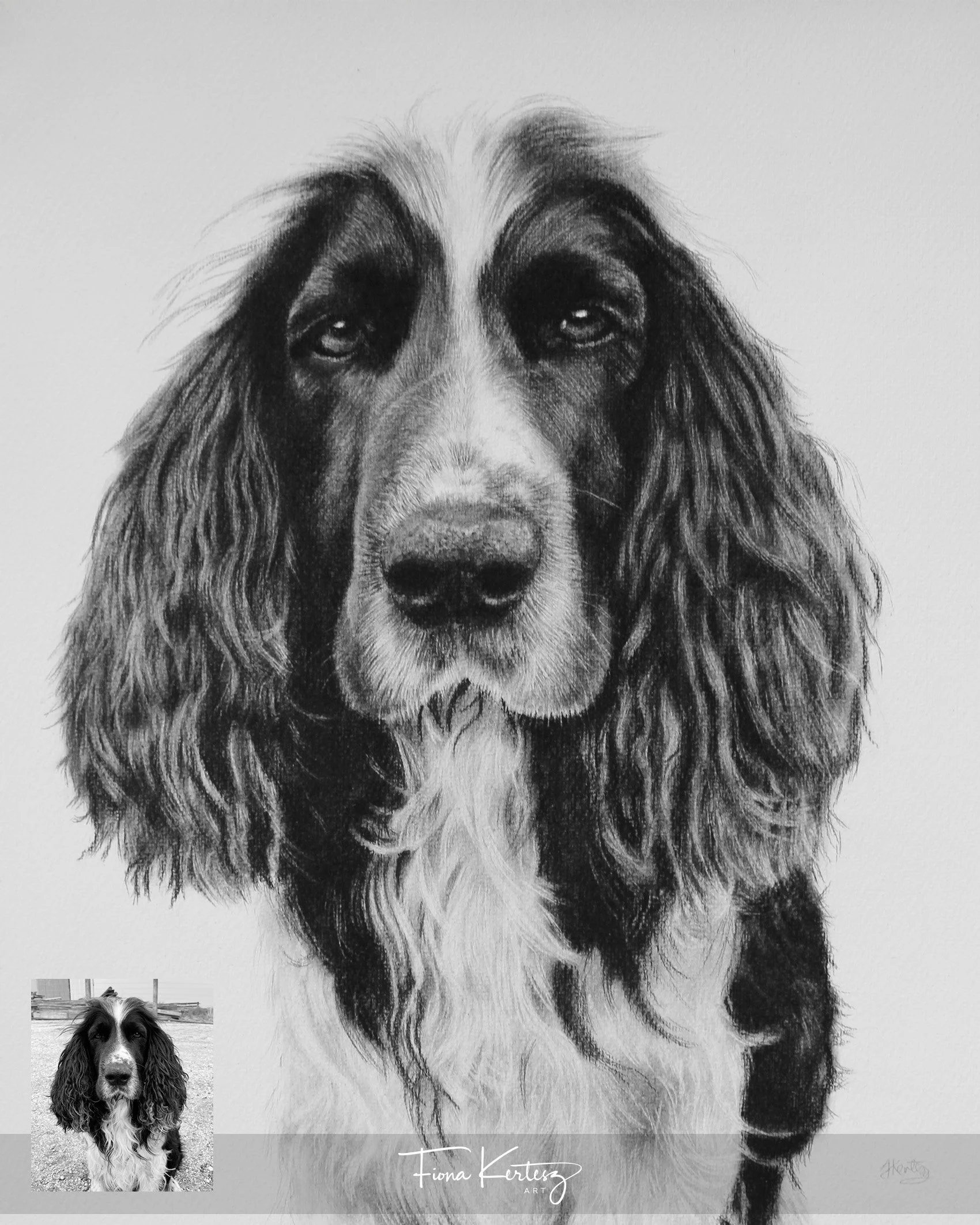 Baxter, 12 x 14"