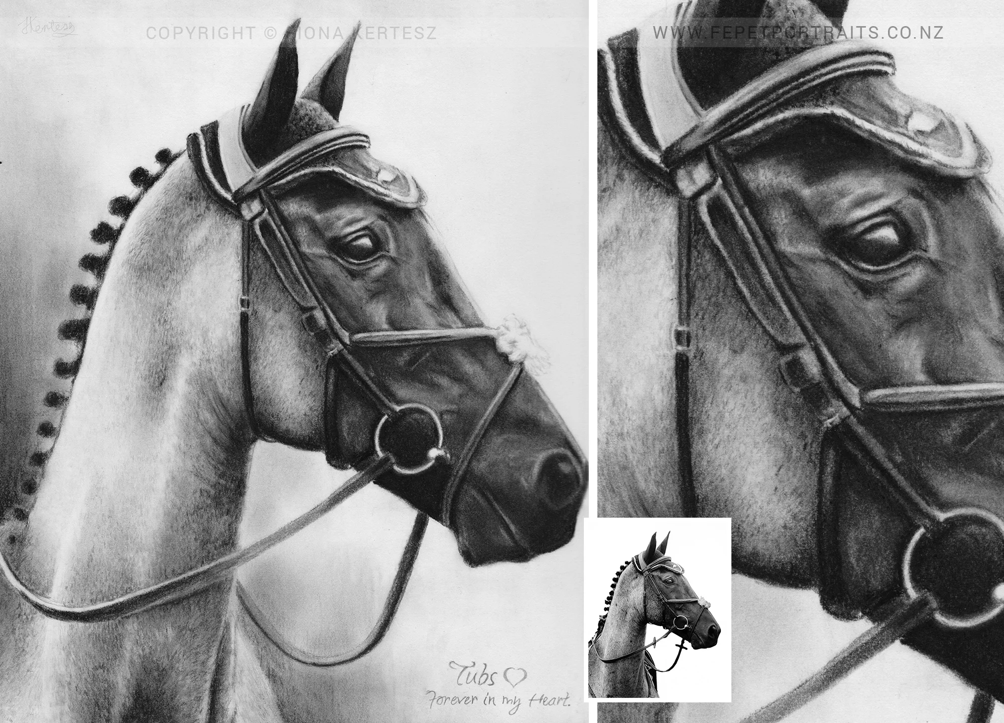 Tubby, Graphite Pencil, 14 x 12 inch