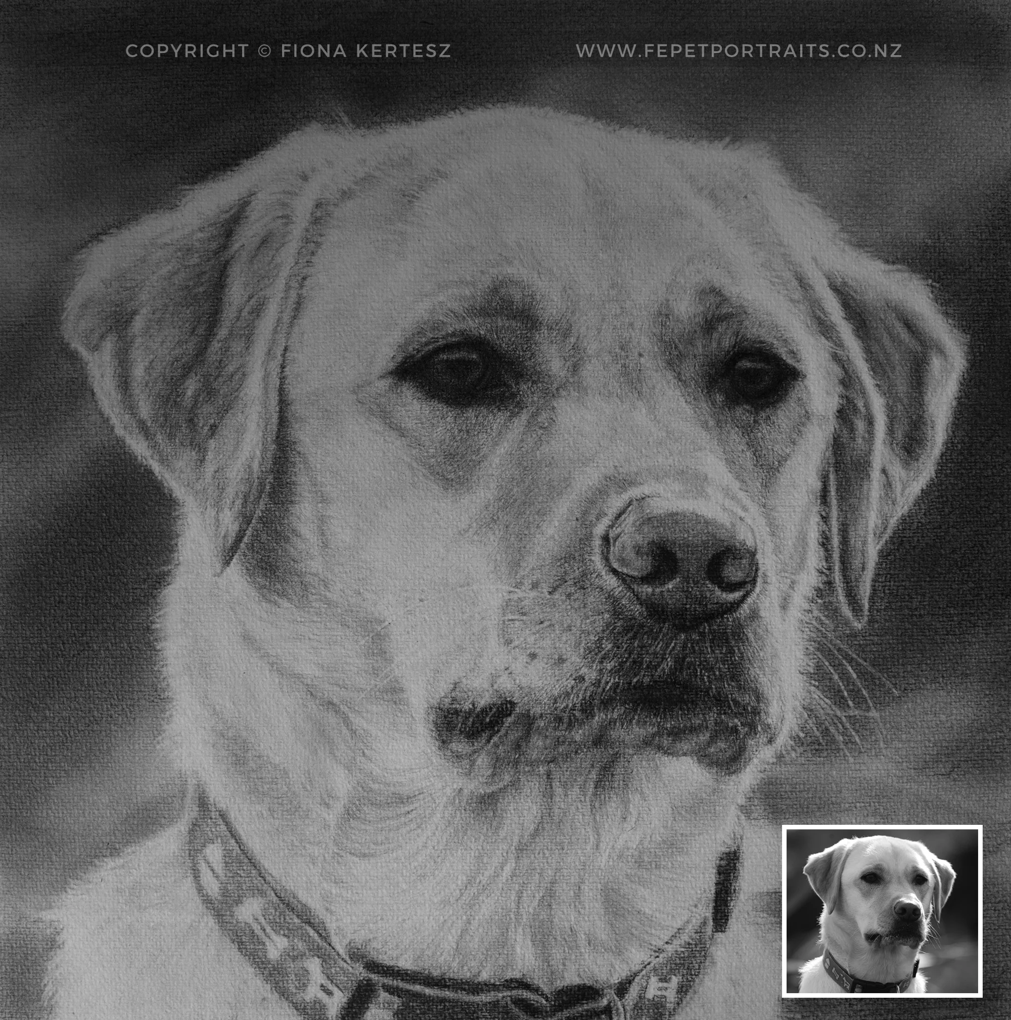 Samber-Pencil.jpg