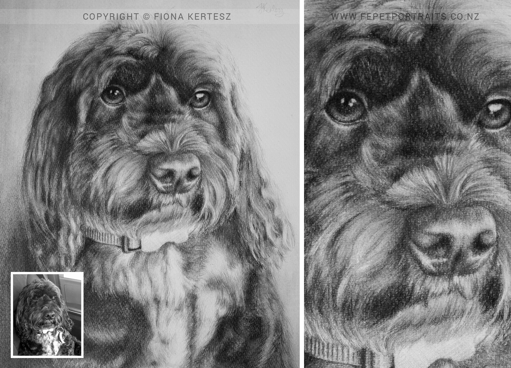 Jack, Pencil Portrait, 13 x 11 inch