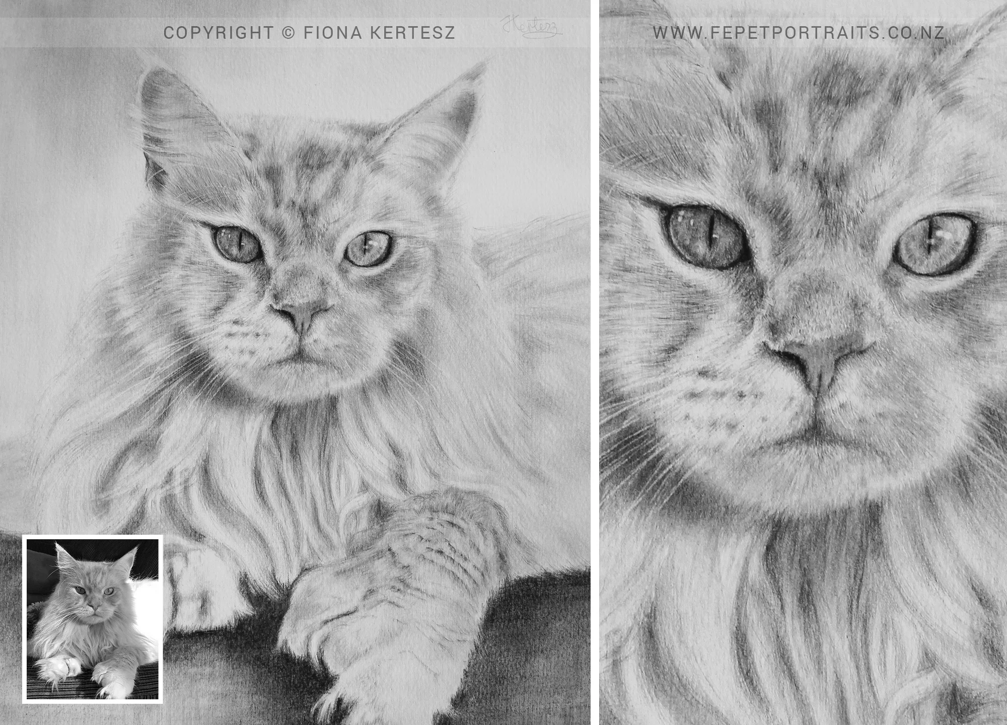 Max, Pencil Portrait, 10 x 12 inch