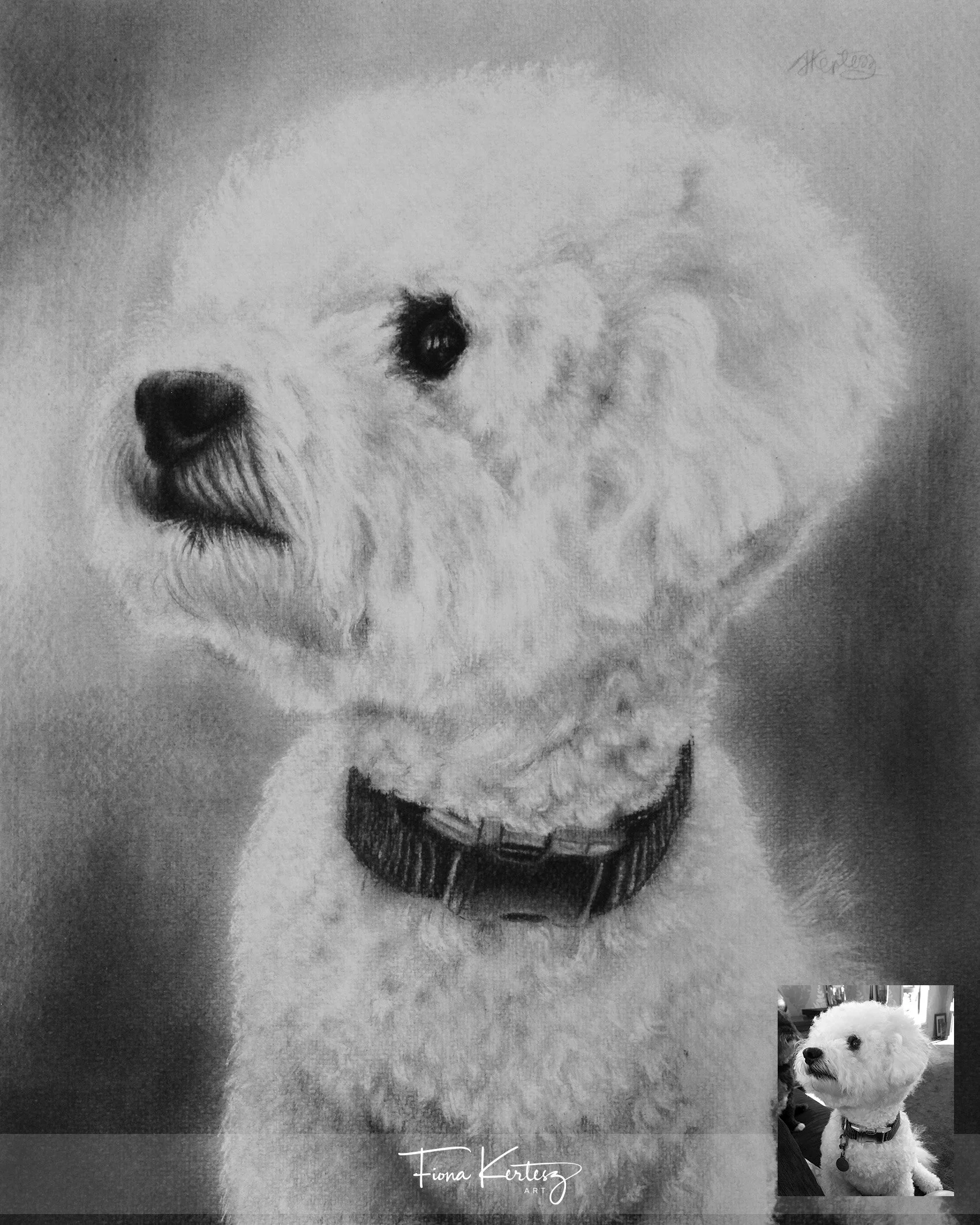 Bennie, 10 x 12"