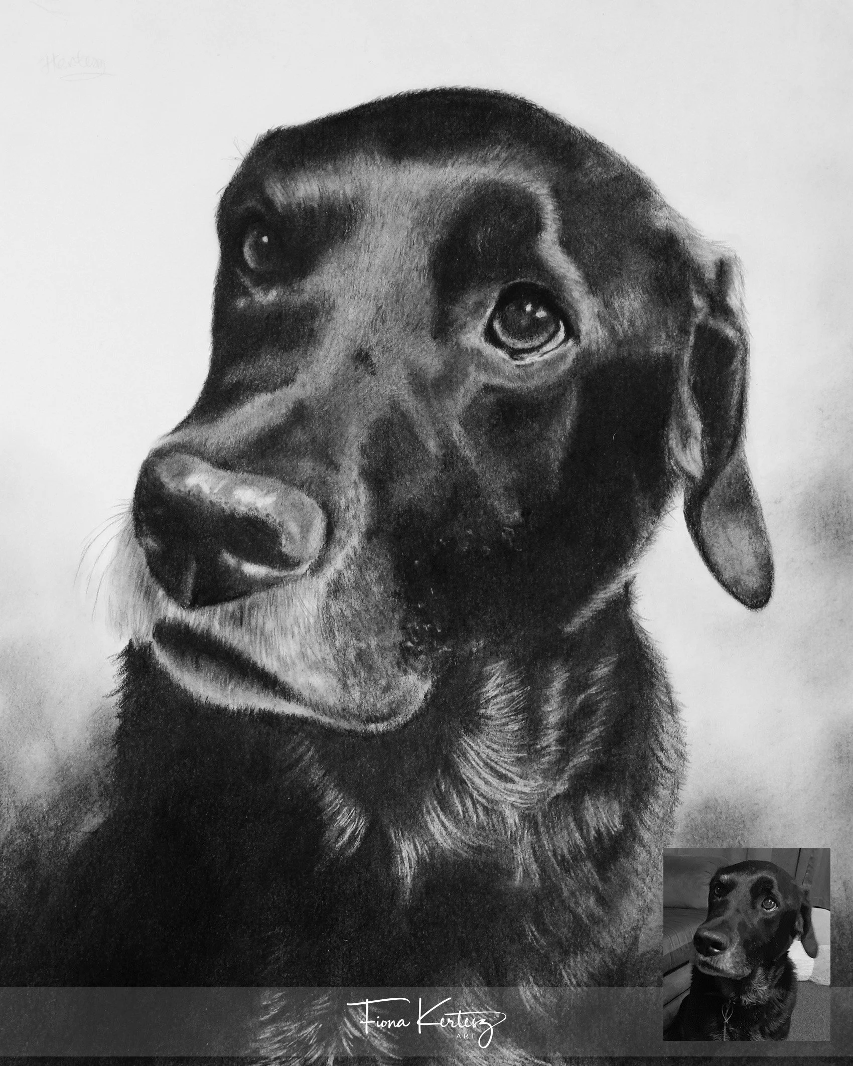 TK, 10 x 12"