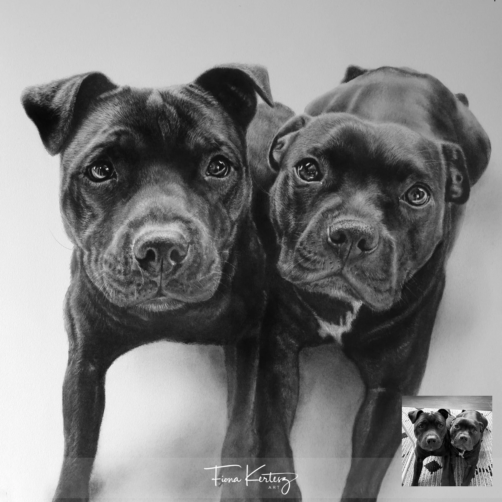 Buddy & George, 14 x 14"