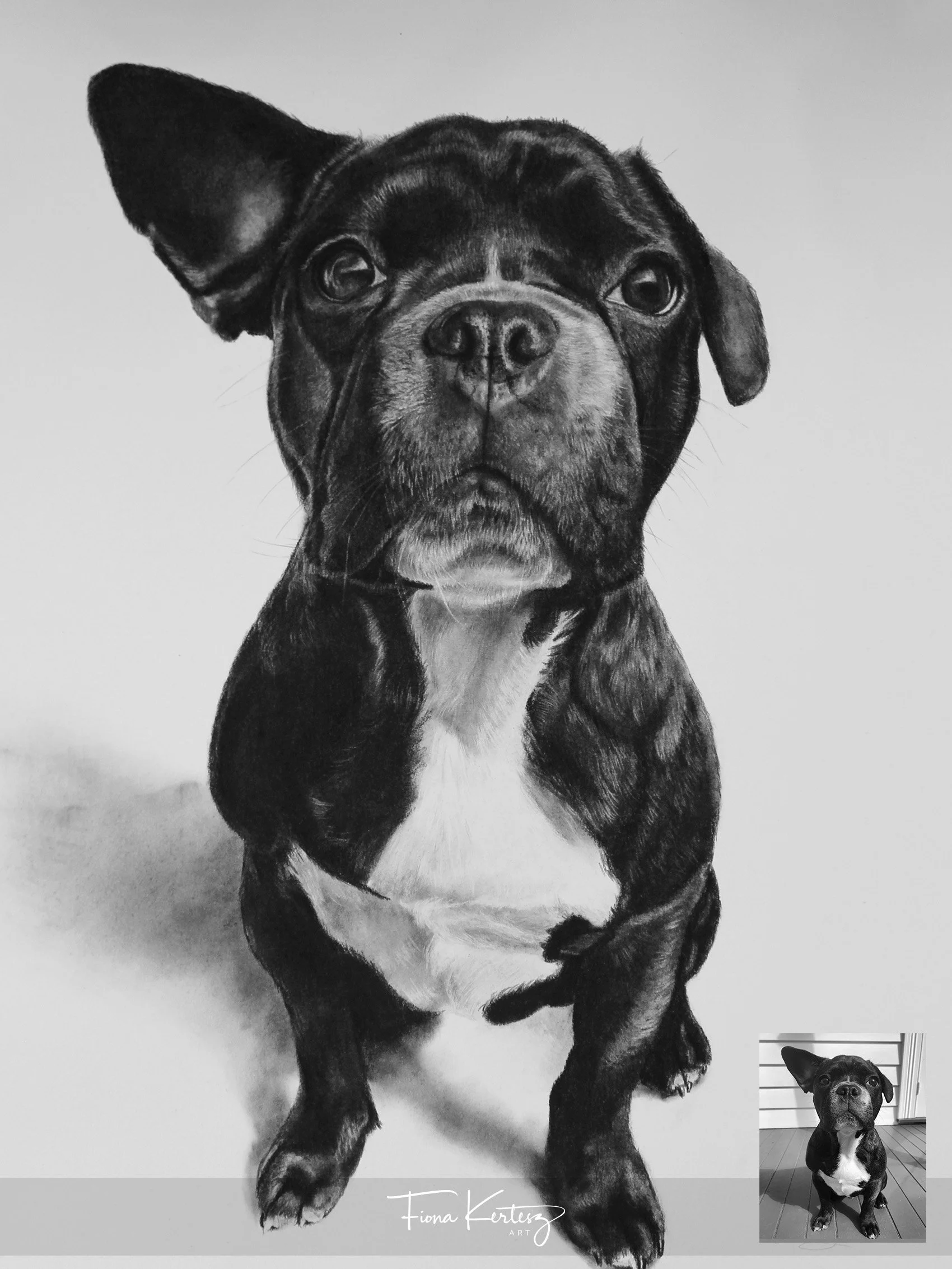 Ludo, 12 x 16"