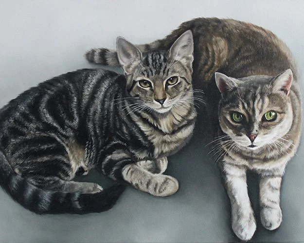 Bella and Peanut, two tabby cats lying together alongside their testimonial.