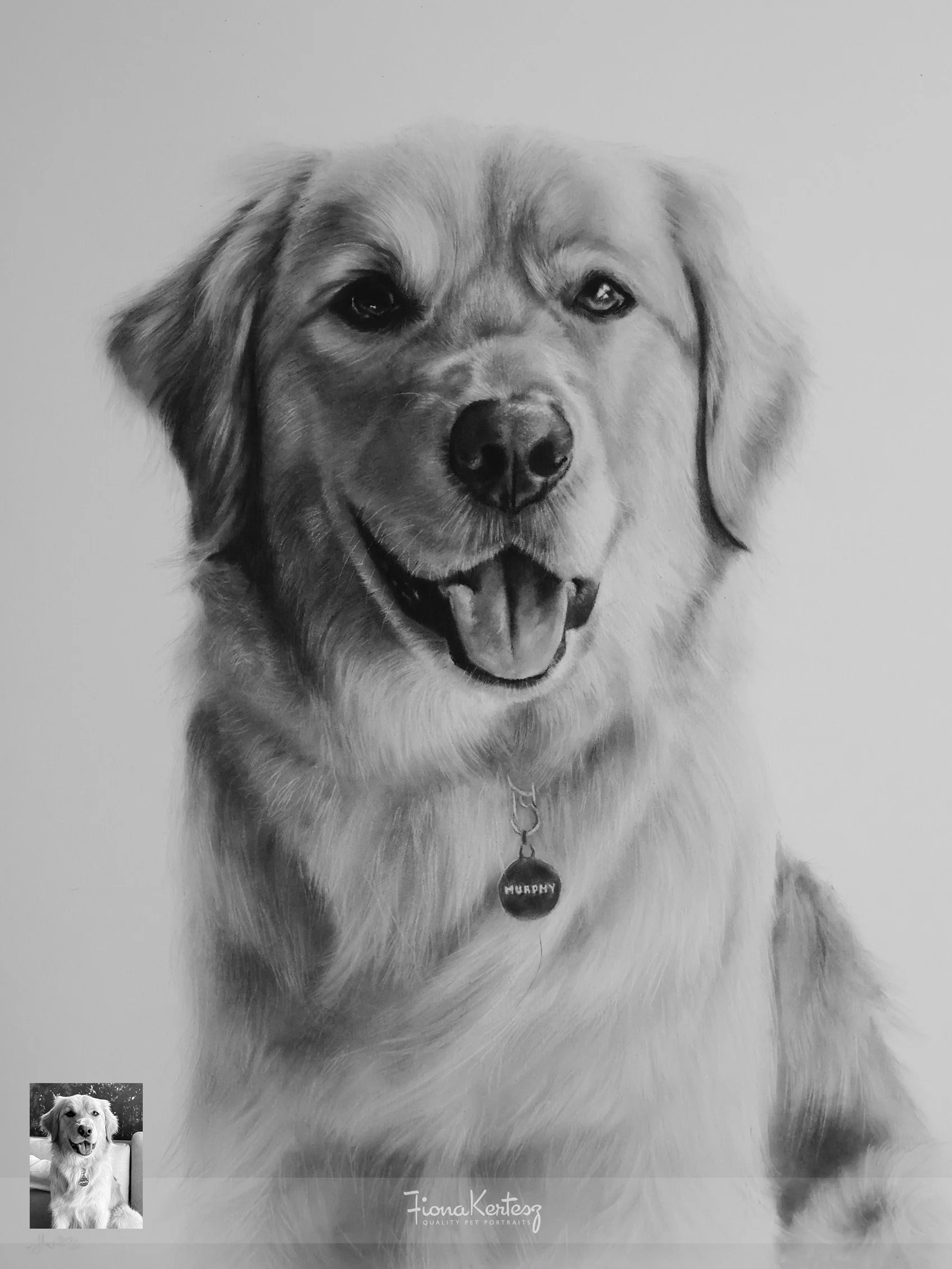 Murphy, 18 x 14 inch