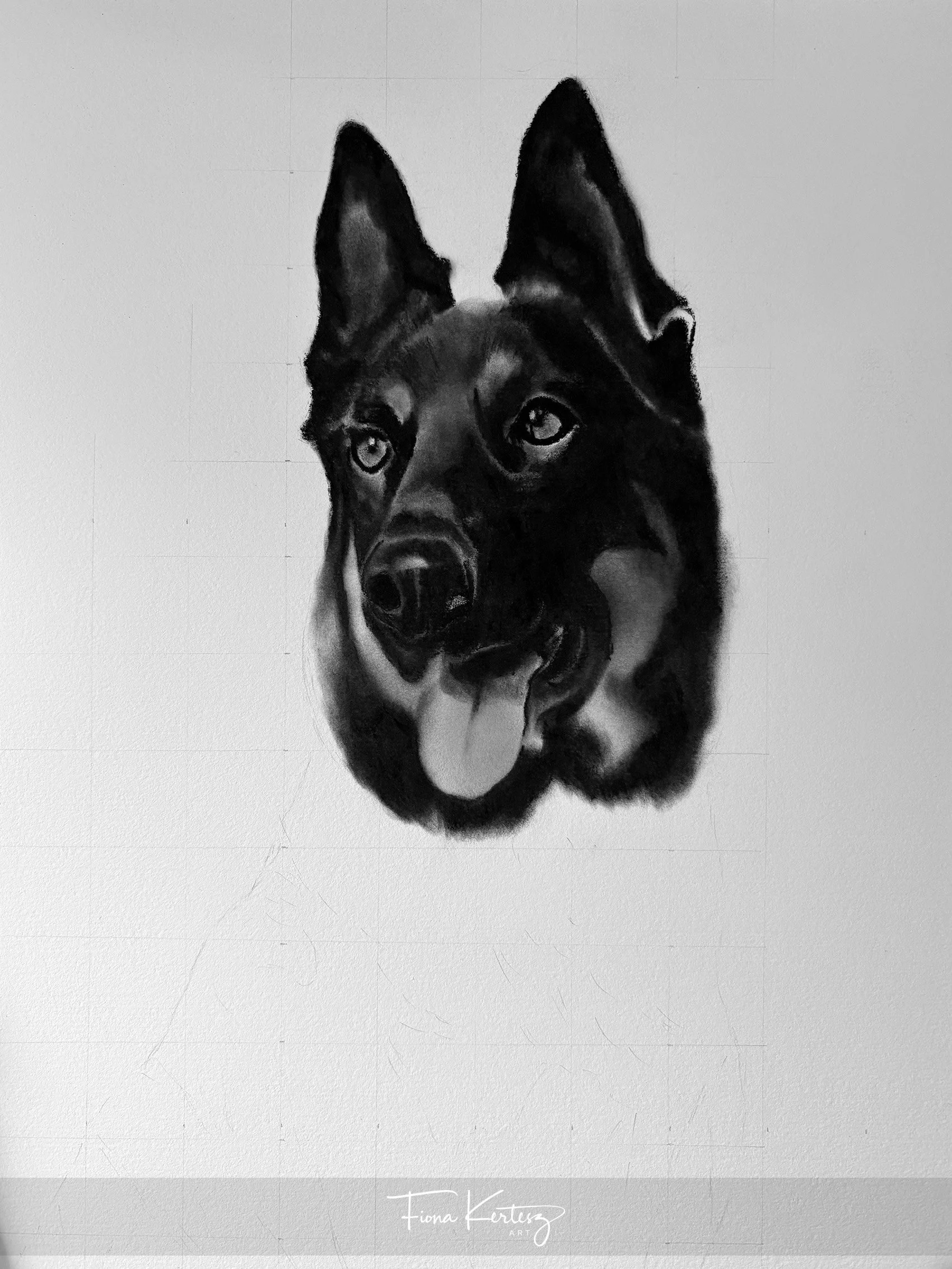 Stage 1 of charcoal portrait of Hugo, very basic stage